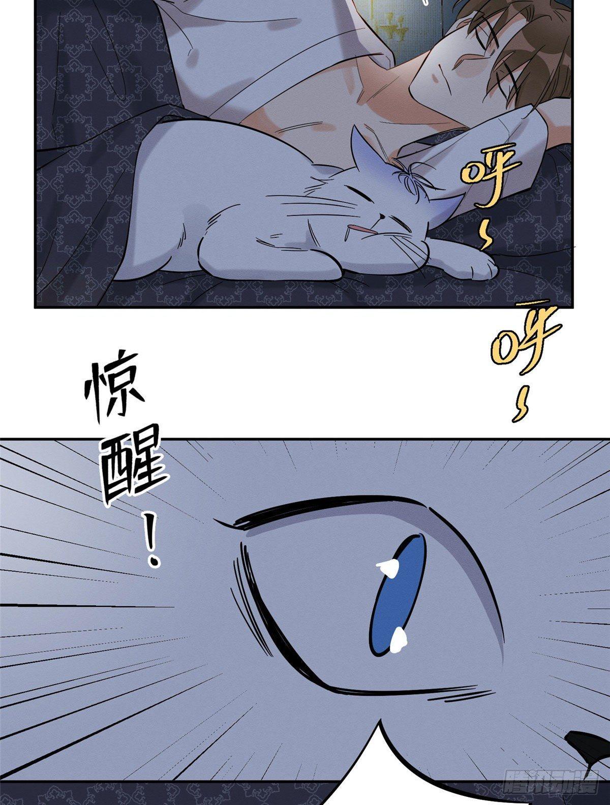Tengo que trabajar duro para ser un gato hoy! - capitulo 29 manhwa