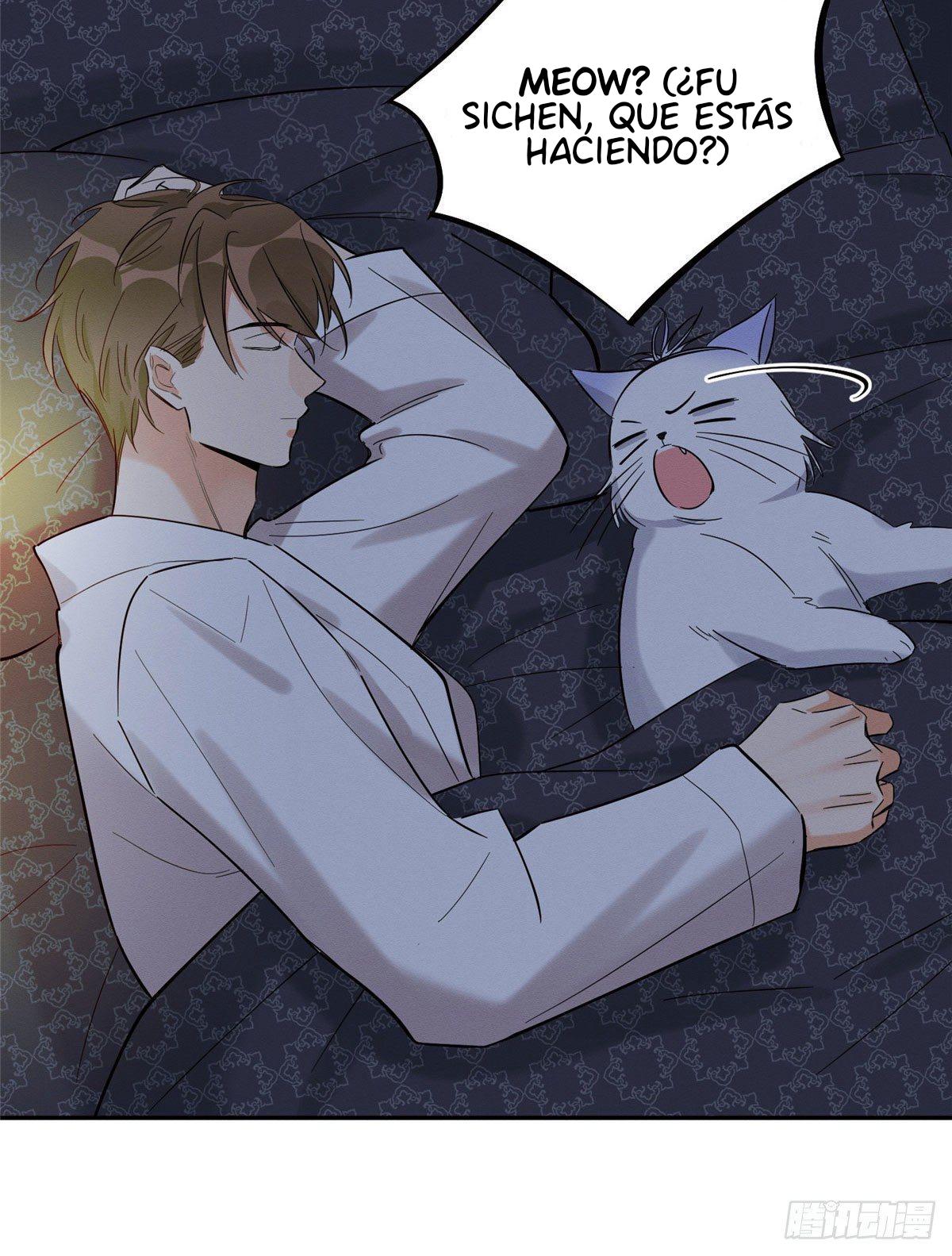 Tengo que trabajar duro para ser un gato hoy! - capitulo 29 manhwa