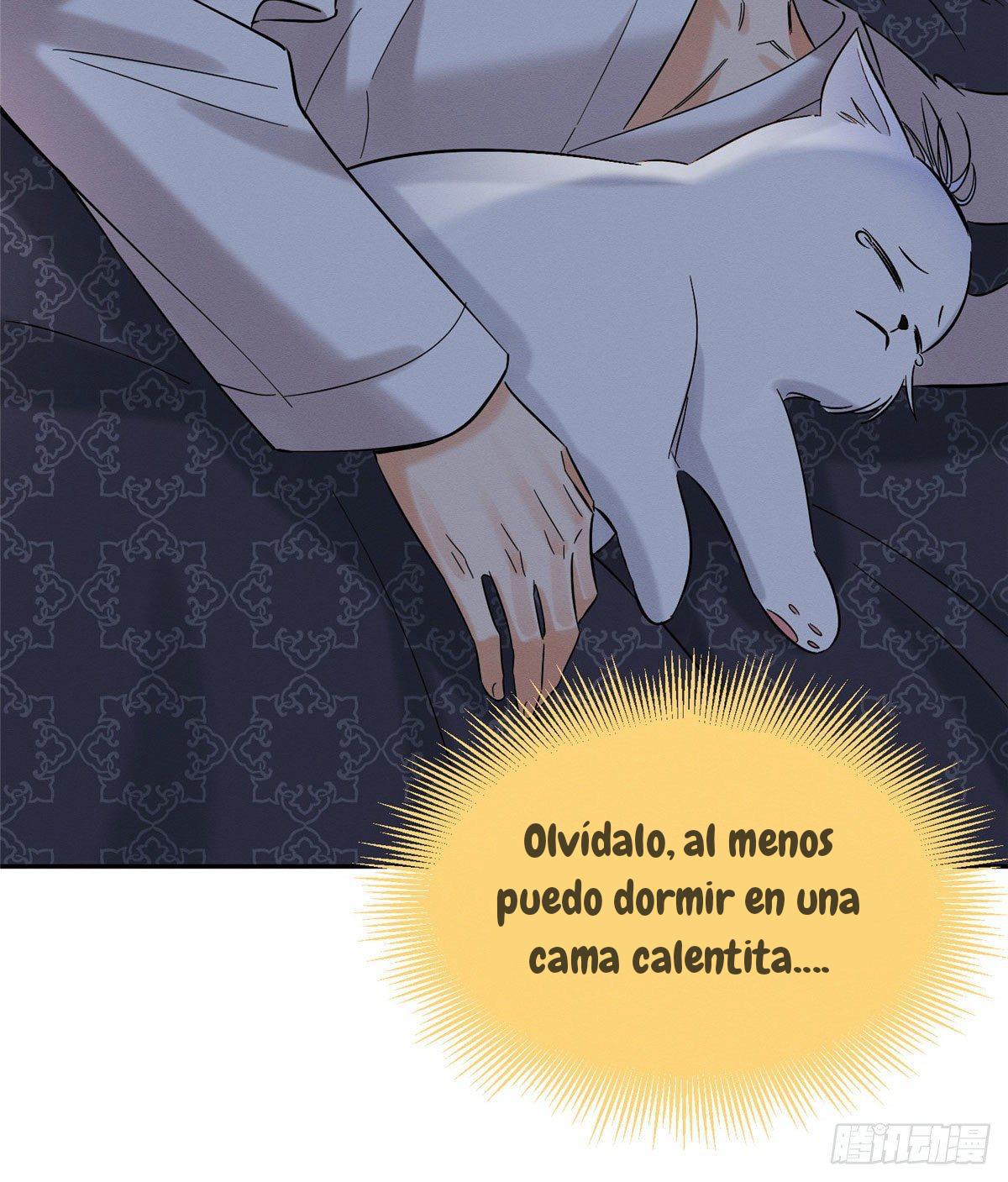 Tengo que trabajar duro para ser un gato hoy! - capitulo 29 manhwa