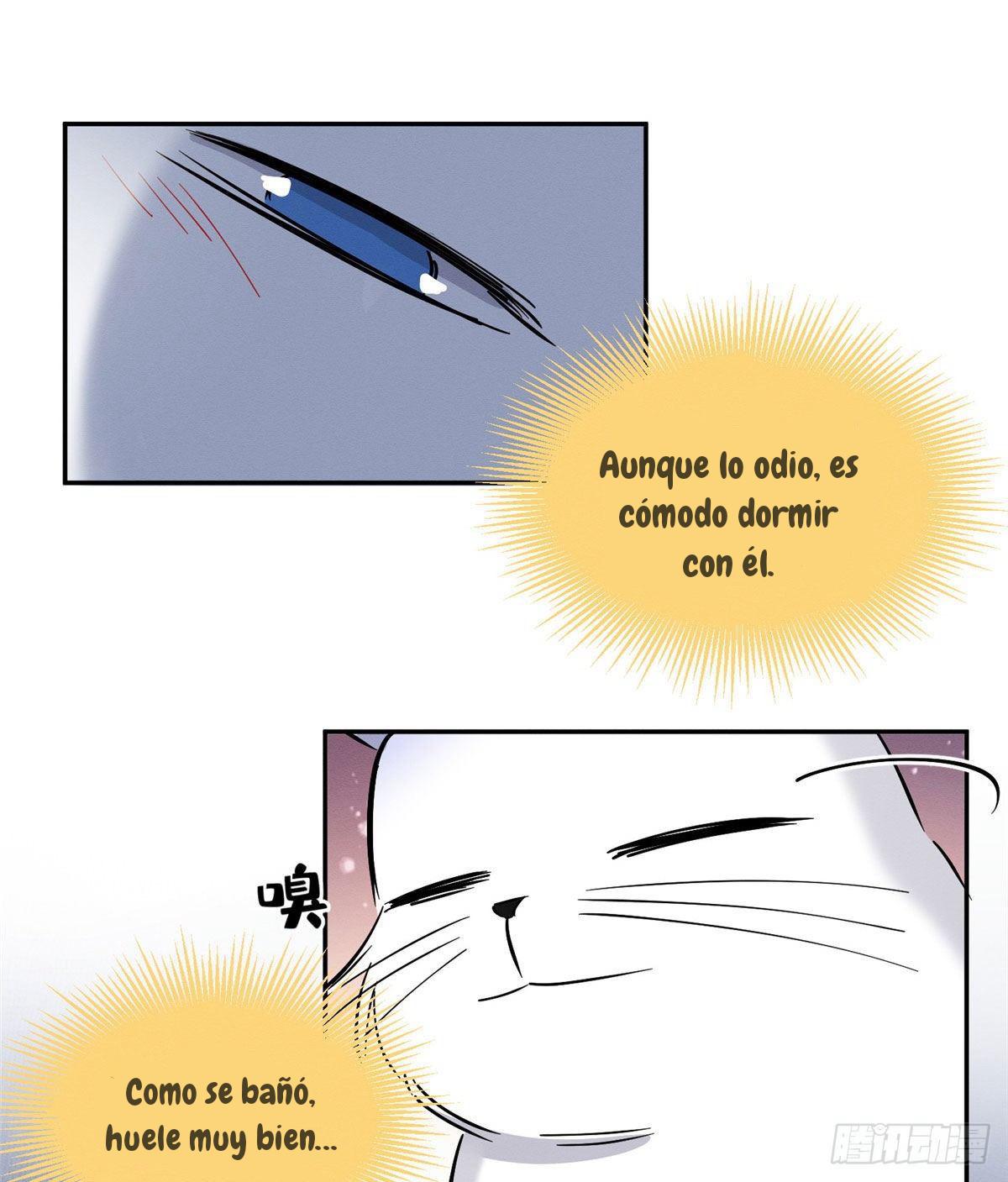 Tengo que trabajar duro para ser un gato hoy! - capitulo 29 manhwa