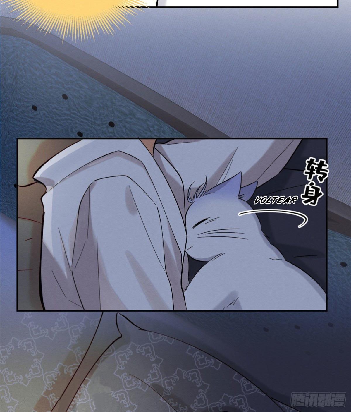 Tengo que trabajar duro para ser un gato hoy! - capitulo 29 manhwa