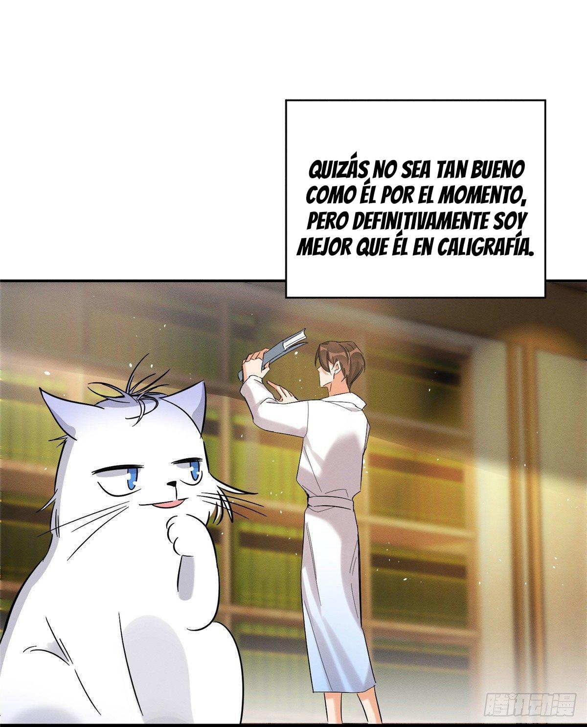 Tengo que trabajar duro para ser un gato hoy! - capitulo 29 manhwa