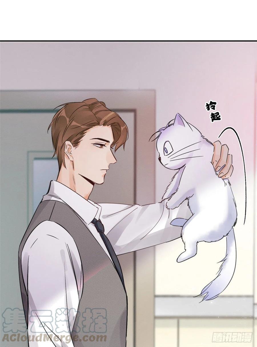 Tengo que trabajar duro para ser un gato hoy! - capitulo 3 manhwa