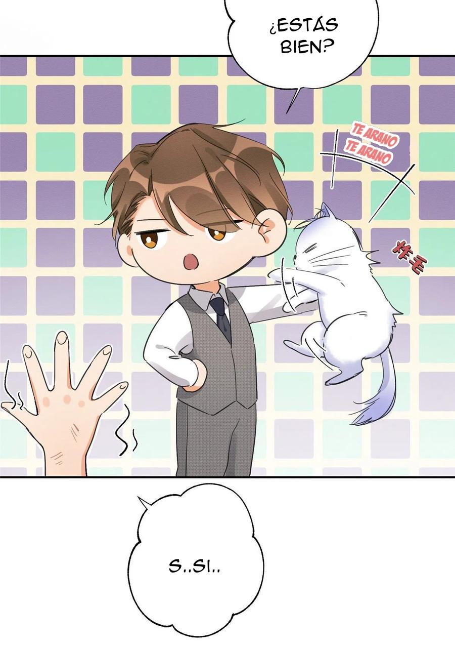 Tengo que trabajar duro para ser un gato hoy! - capitulo 3 manhwa