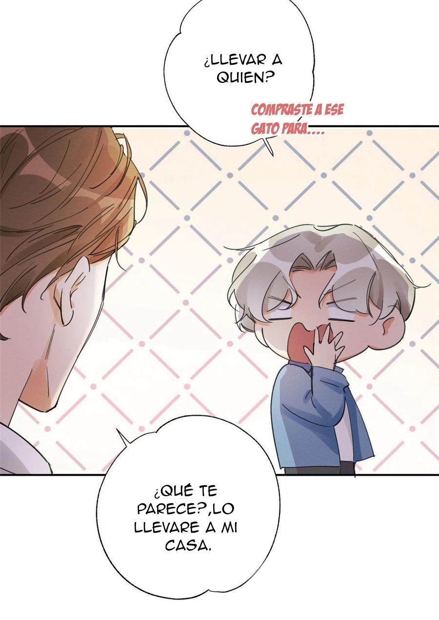 Tengo que trabajar duro para ser un gato hoy! - capitulo 3 manhwa