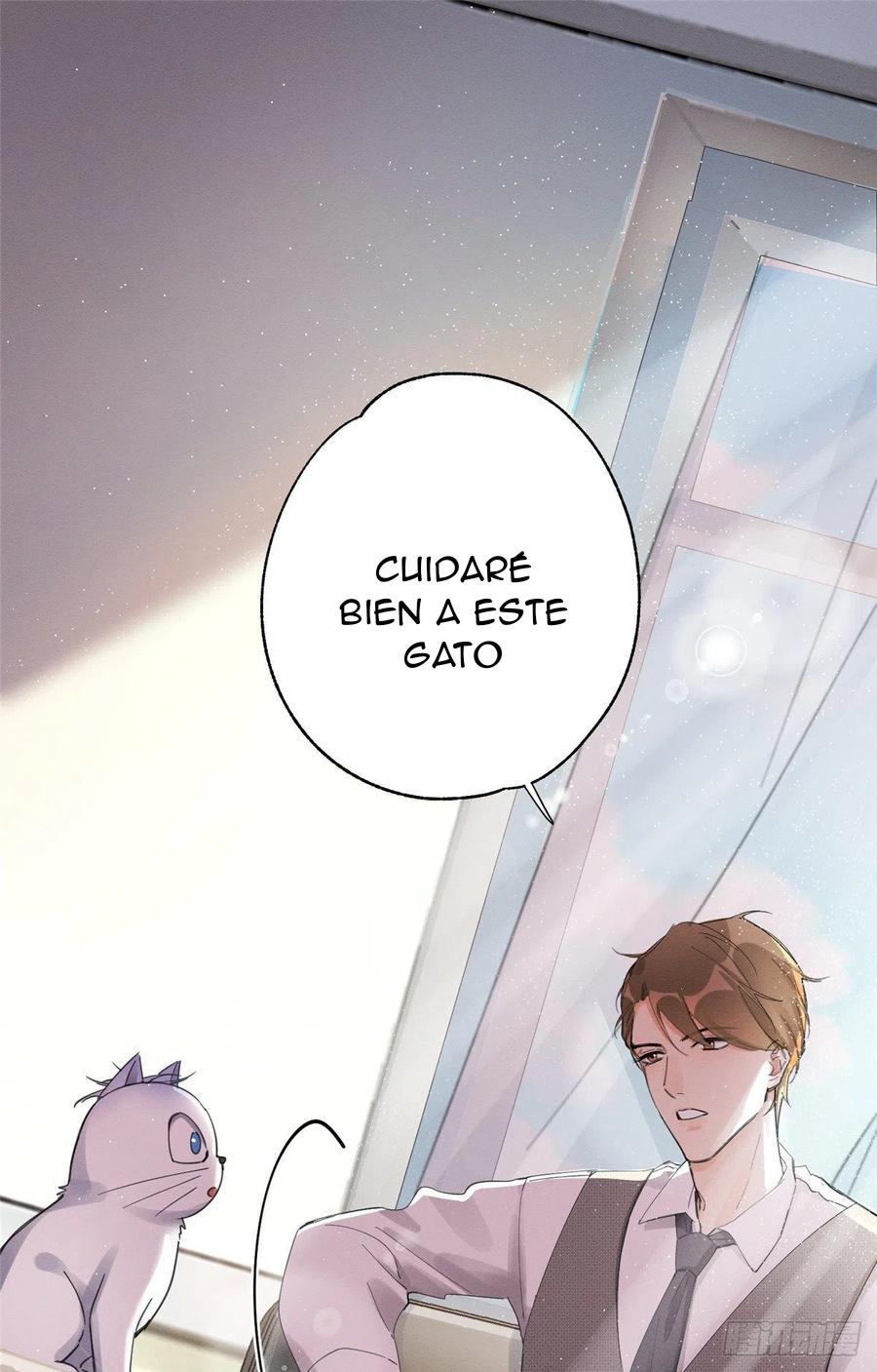 Tengo que trabajar duro para ser un gato hoy! - capitulo 3 manhwa