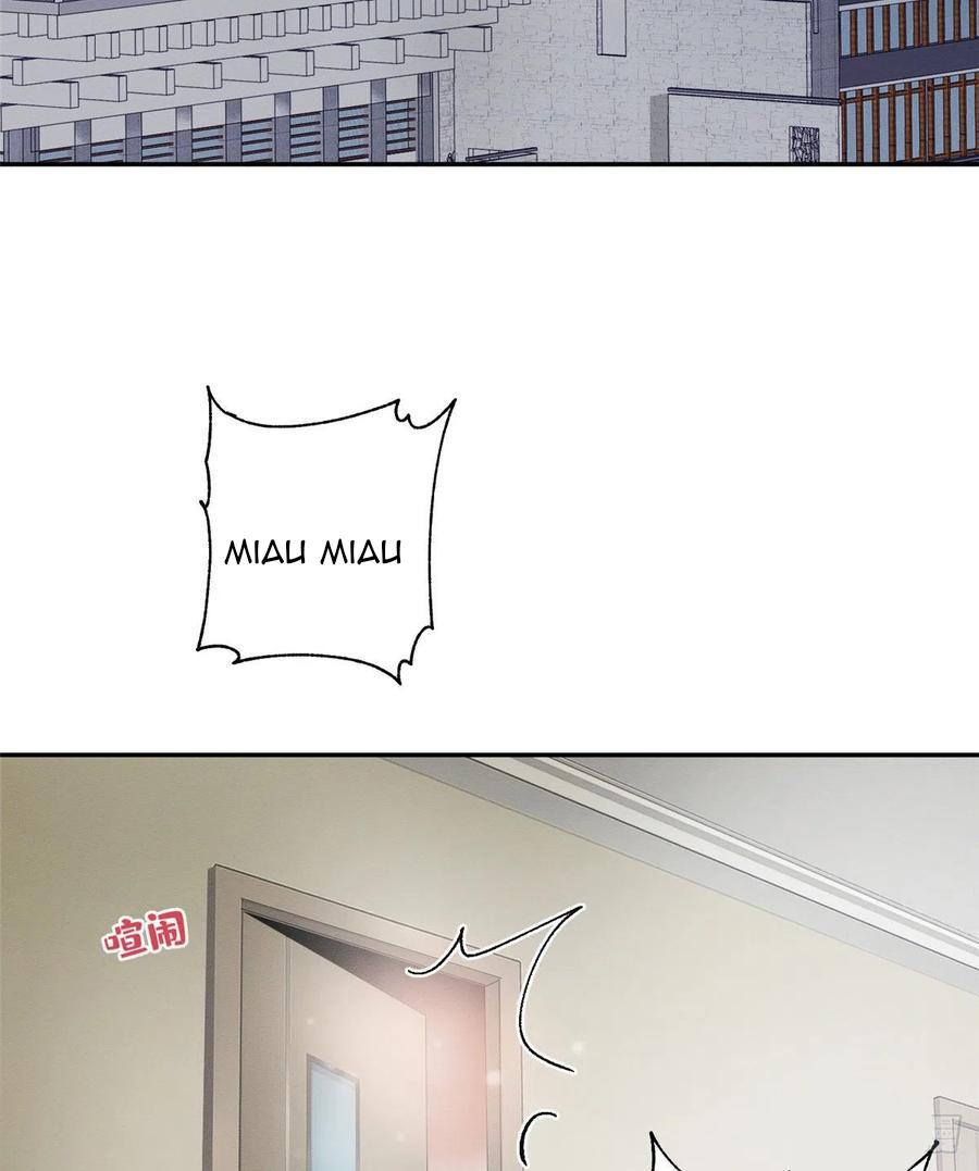 Tengo que trabajar duro para ser un gato hoy! - capitulo 3 manhwa