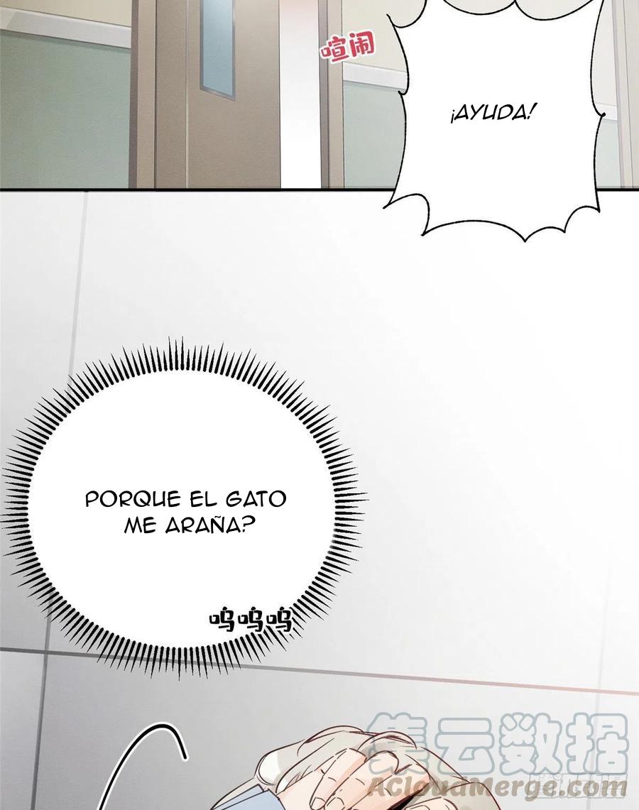 Tengo que trabajar duro para ser un gato hoy! - capitulo 3 manhwa