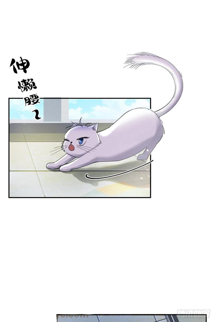 Tengo que trabajar duro para ser un gato hoy! - capitulo 3 manhwa
