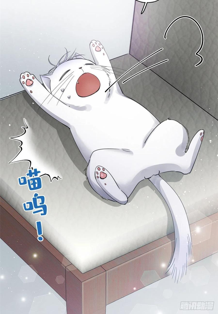 Tengo que trabajar duro para ser un gato hoy! - capitulo 3 manhwa