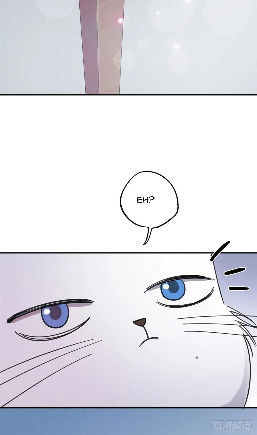 Tengo que trabajar duro para ser un gato hoy! - capitulo 3 manhwa