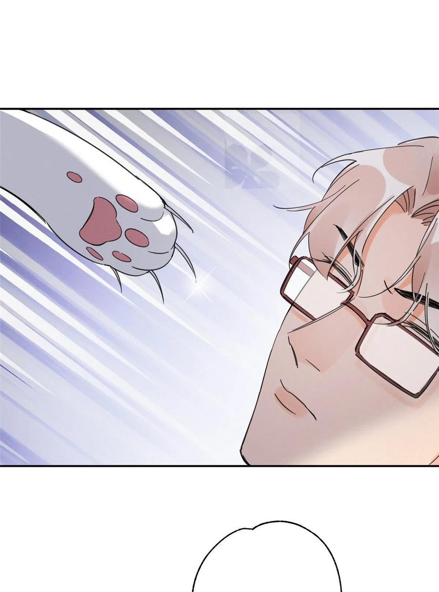 Tengo que trabajar duro para ser un gato hoy! - capitulo 3 manhwa