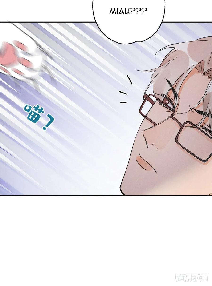 Tengo que trabajar duro para ser un gato hoy! - capitulo 3 manhwa