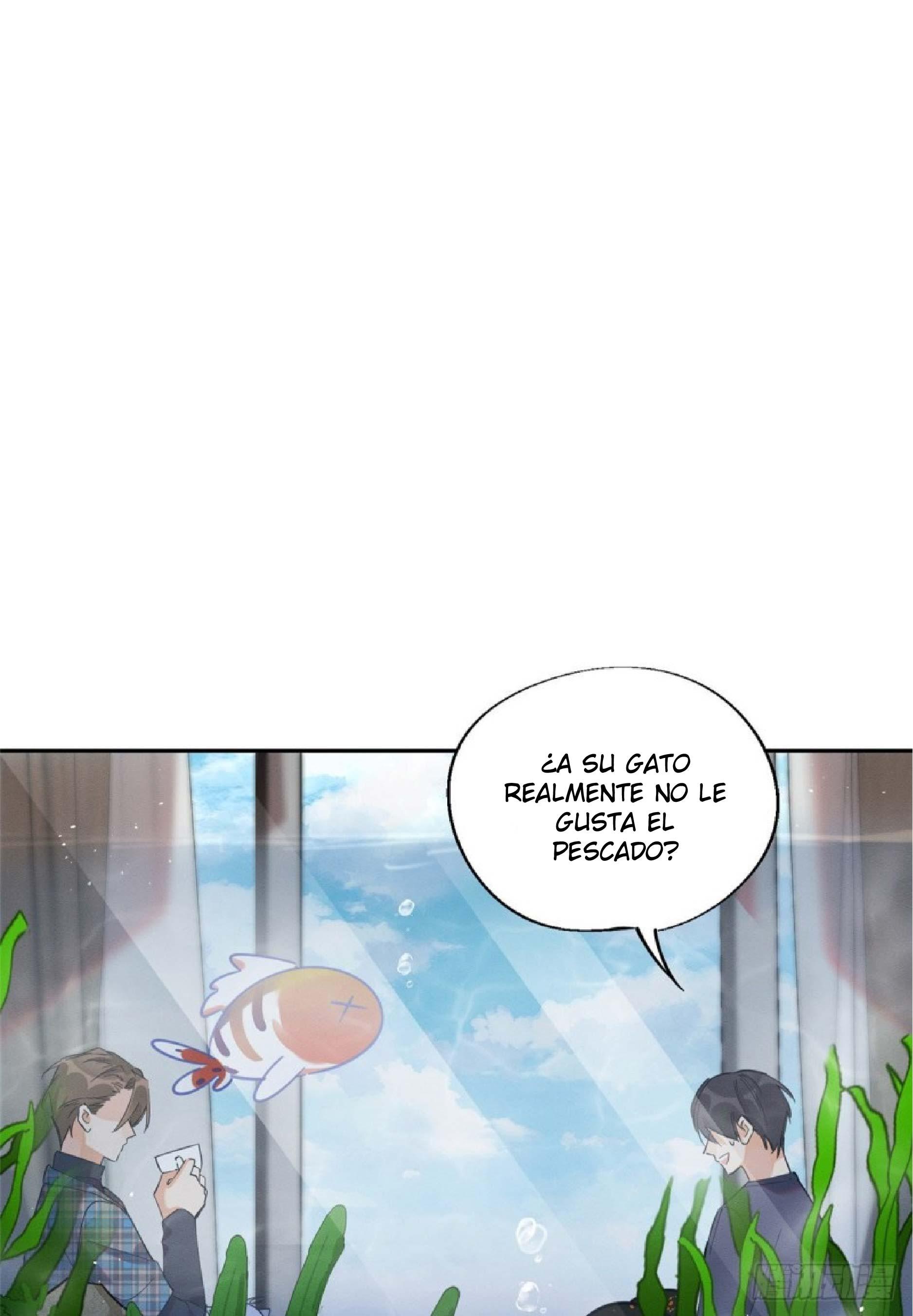 Tengo que trabajar duro para ser un gato hoy! - capitulo 24 manhwa