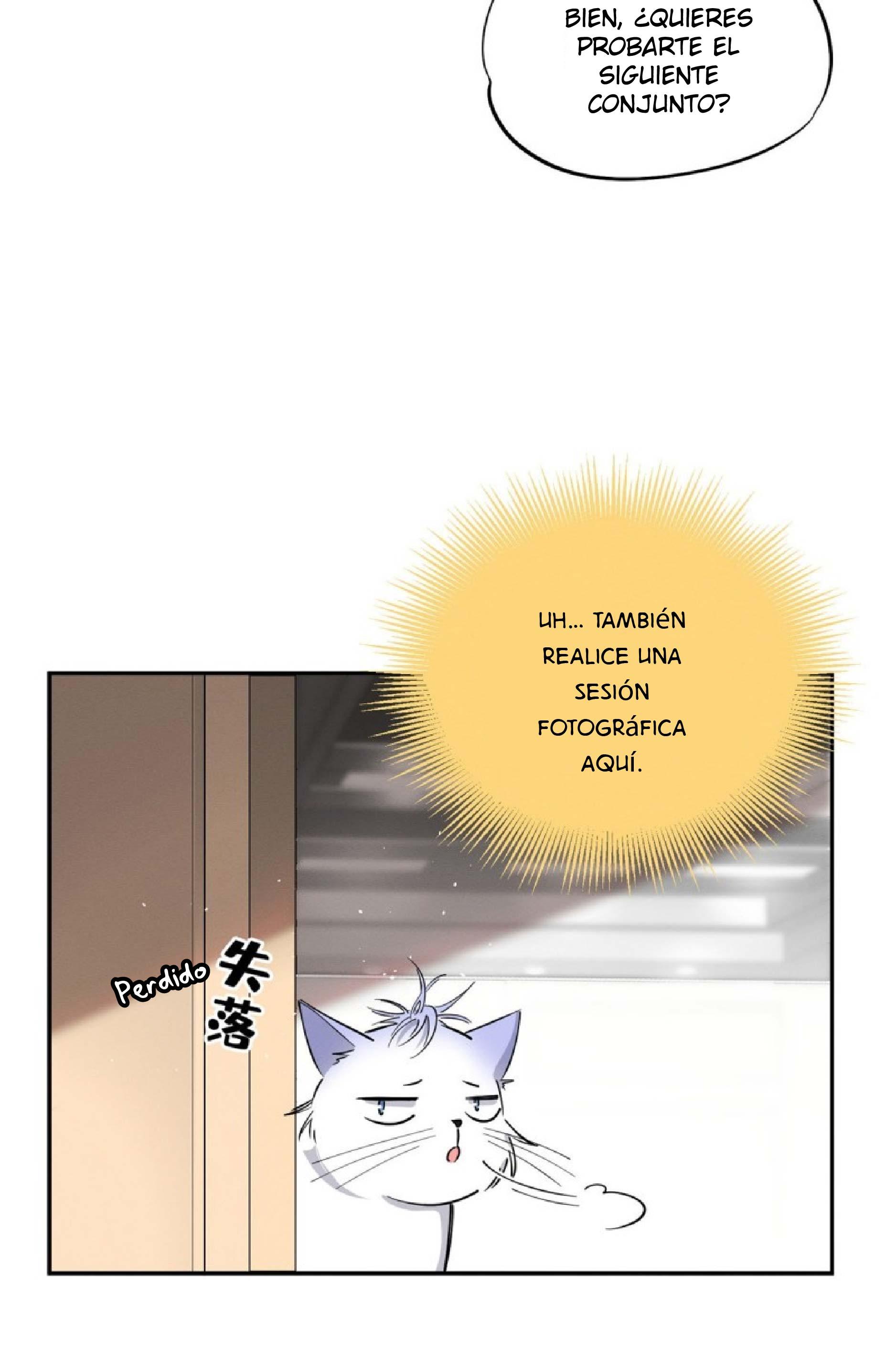 Tengo que trabajar duro para ser un gato hoy! - capitulo 24 manhwa