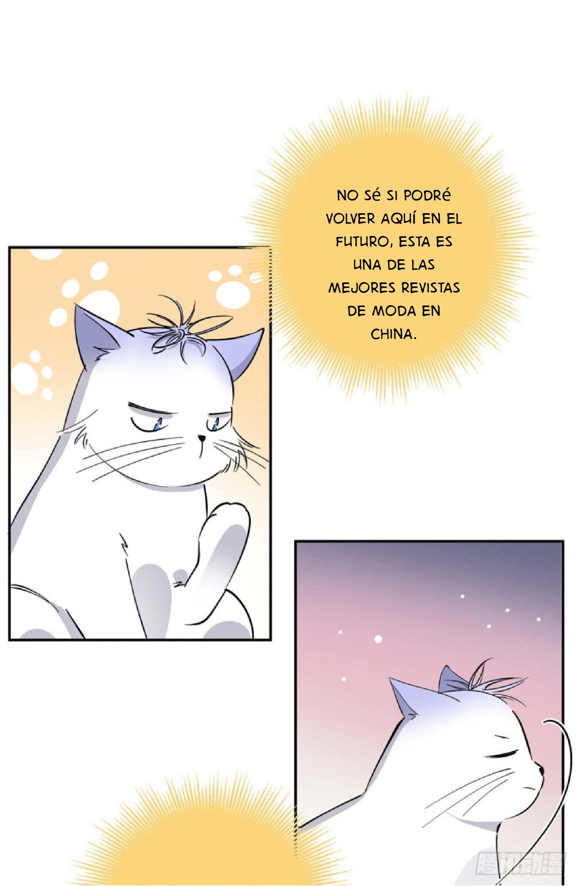 Tengo que trabajar duro para ser un gato hoy! - capitulo 24 manhwa