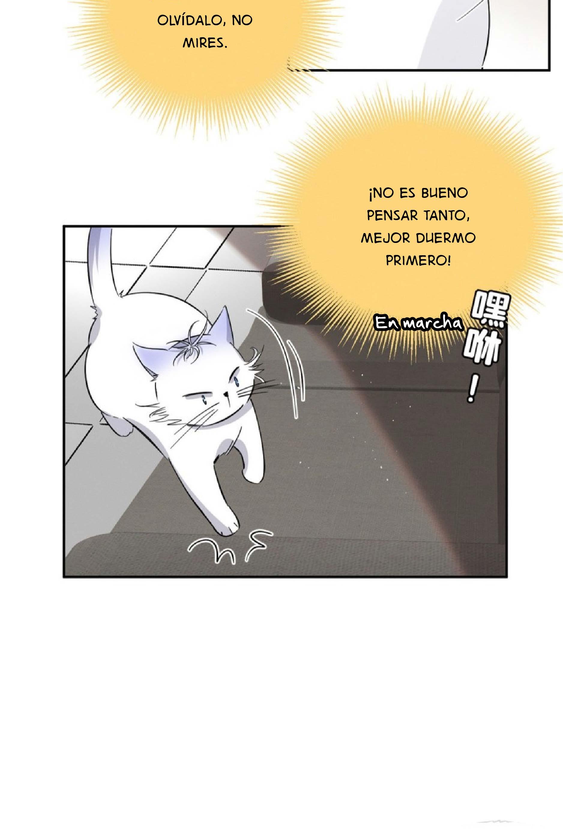 Tengo que trabajar duro para ser un gato hoy! - capitulo 24 manhwa