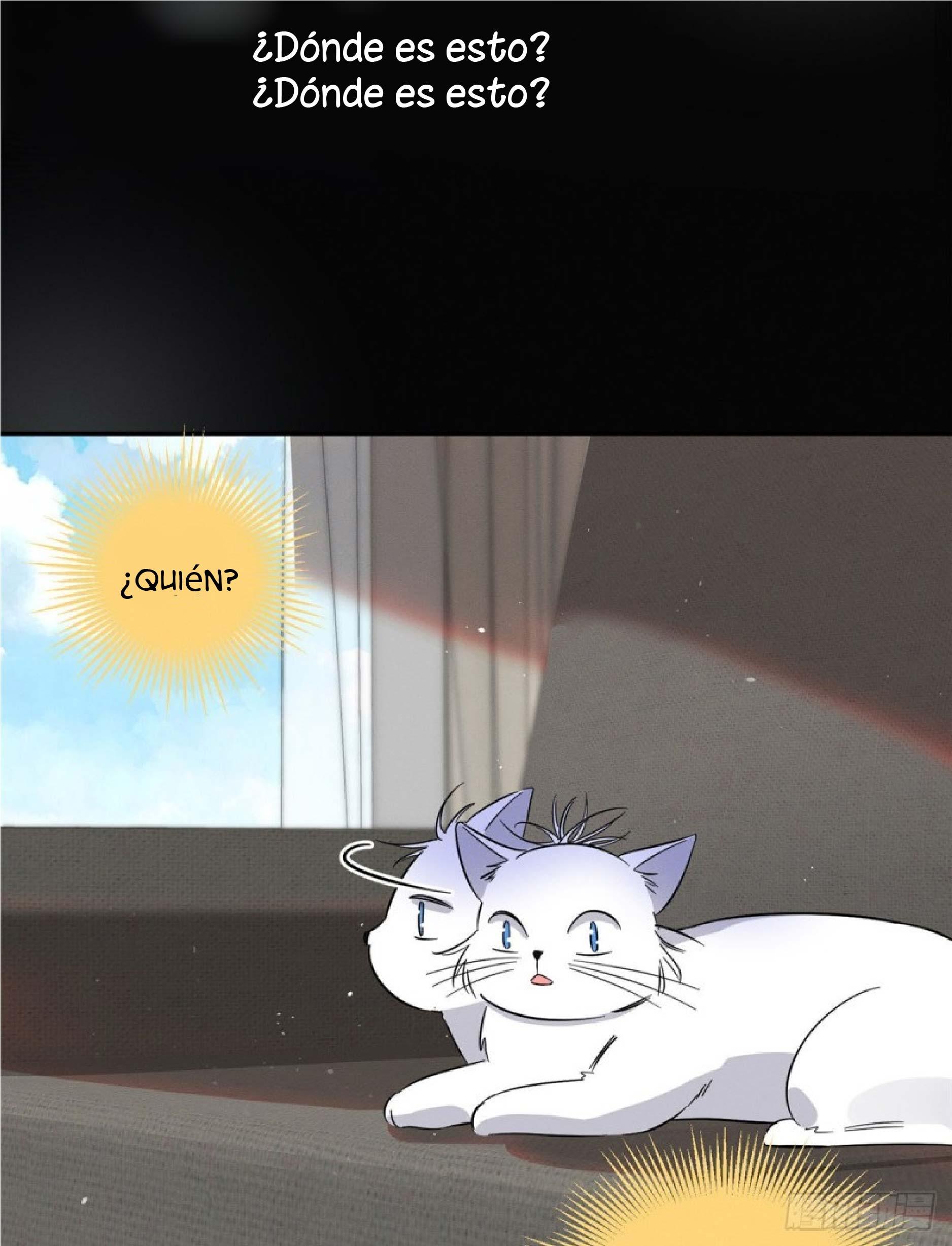 Tengo que trabajar duro para ser un gato hoy! - capitulo 24 manhwa