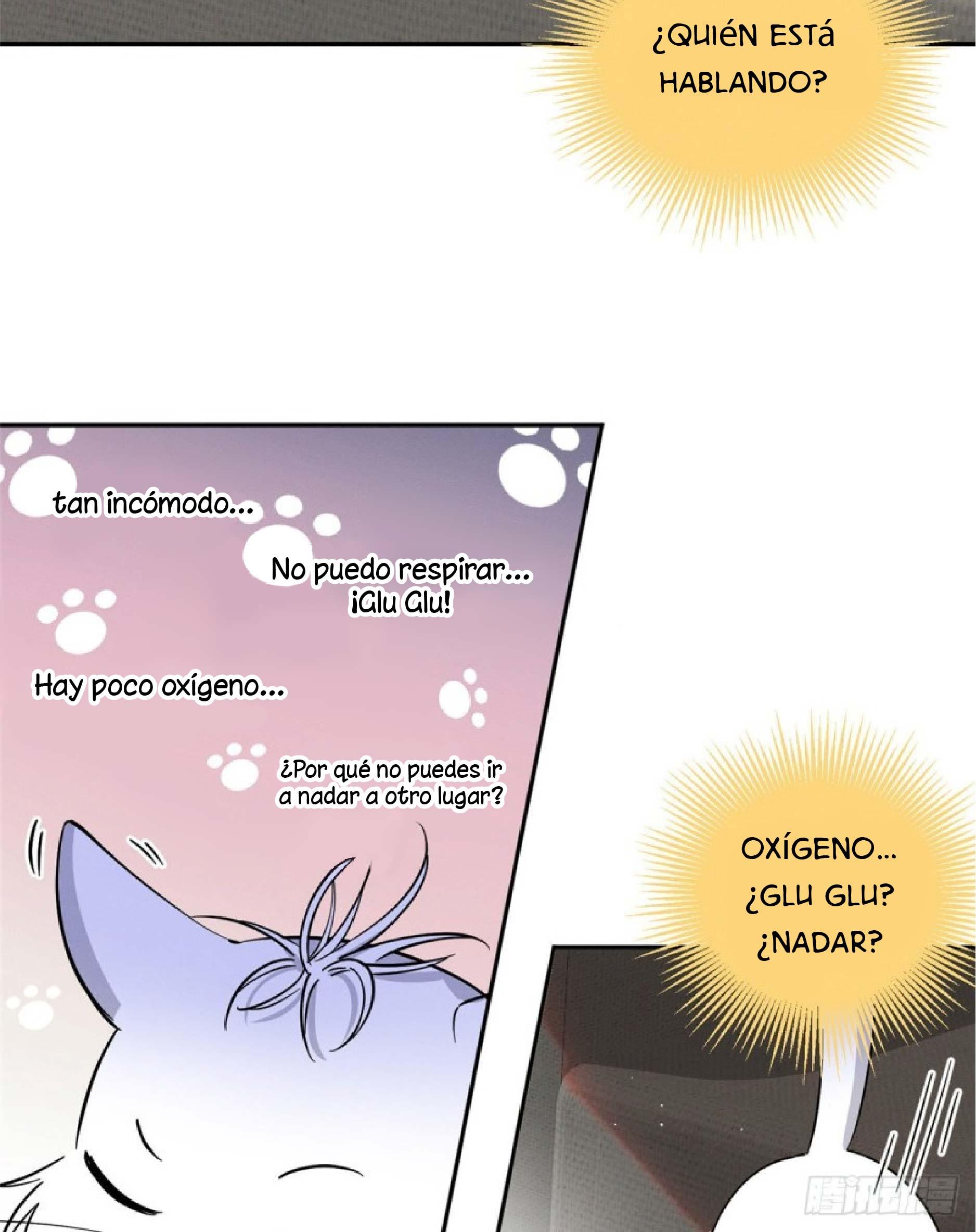 Tengo que trabajar duro para ser un gato hoy! - capitulo 24 manhwa