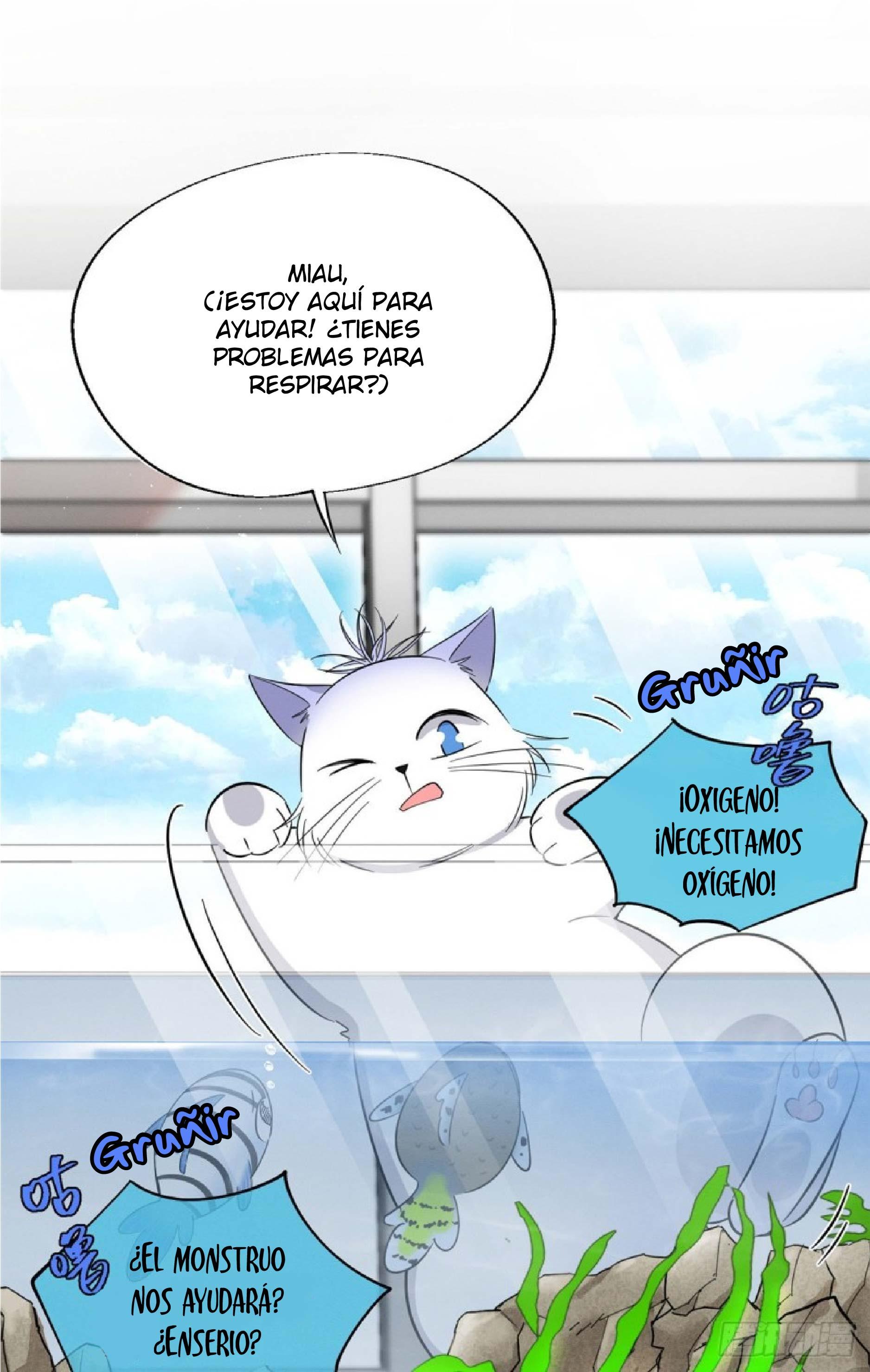 Tengo que trabajar duro para ser un gato hoy! - capitulo 24 manhwa