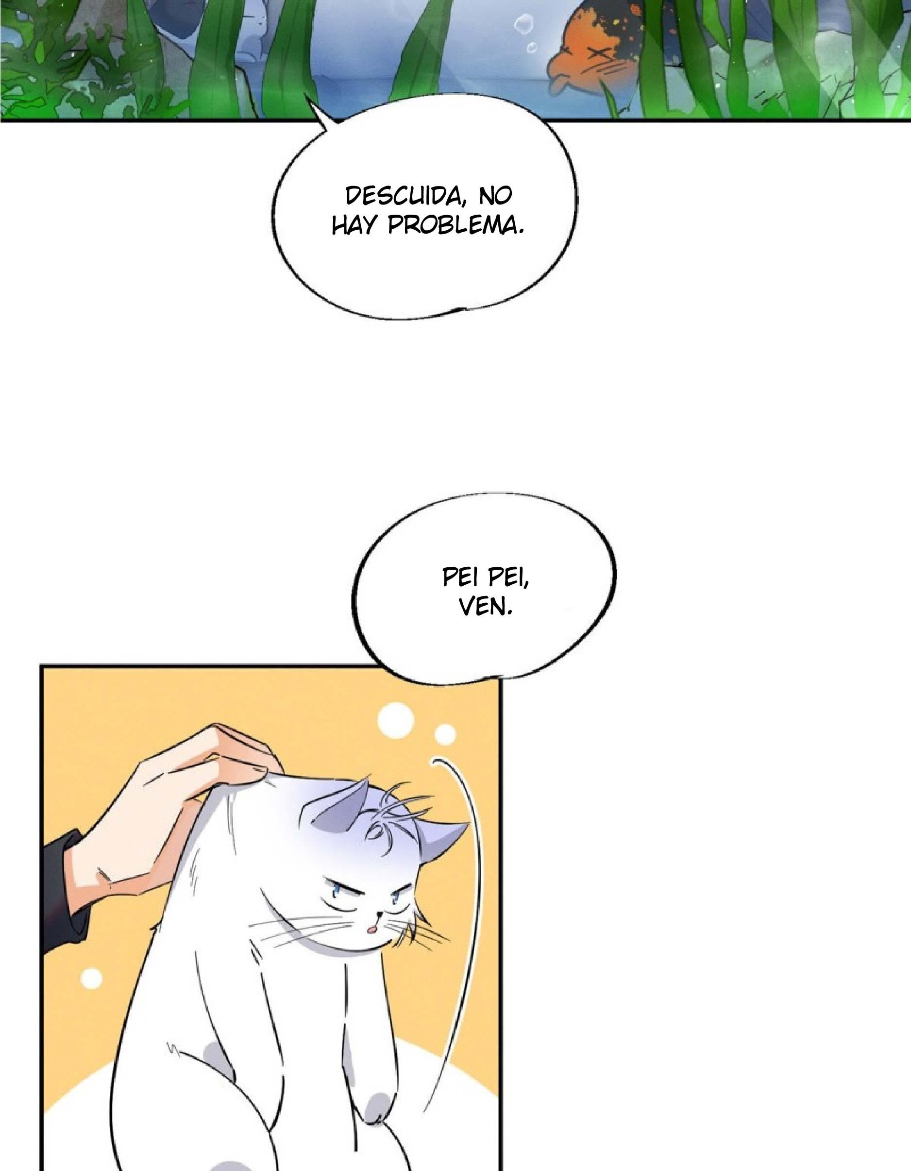 Tengo que trabajar duro para ser un gato hoy! - capitulo 24 manhwa