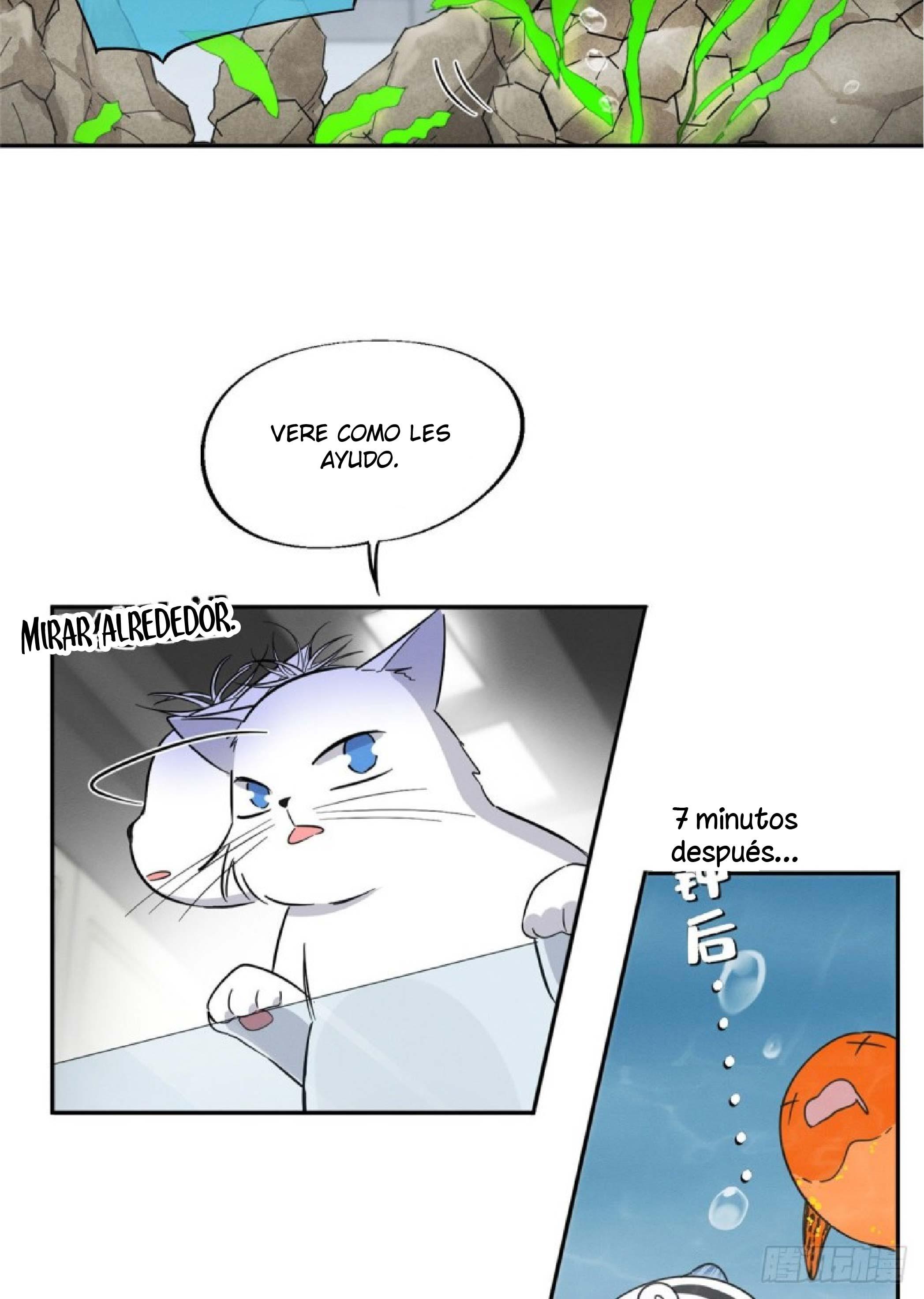 Tengo que trabajar duro para ser un gato hoy! - capitulo 24 manhwa