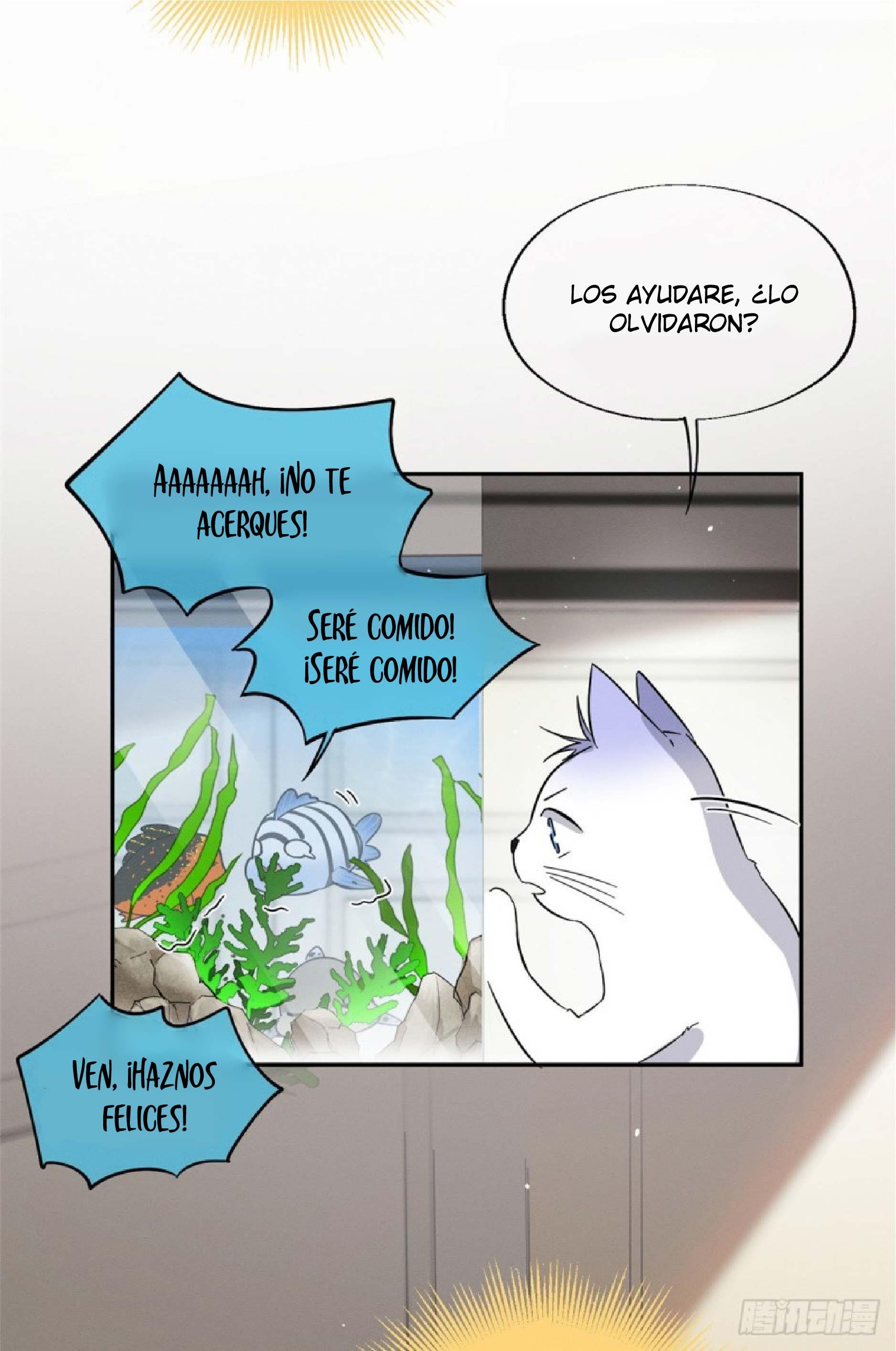 Tengo que trabajar duro para ser un gato hoy! - capitulo 24 manhwa