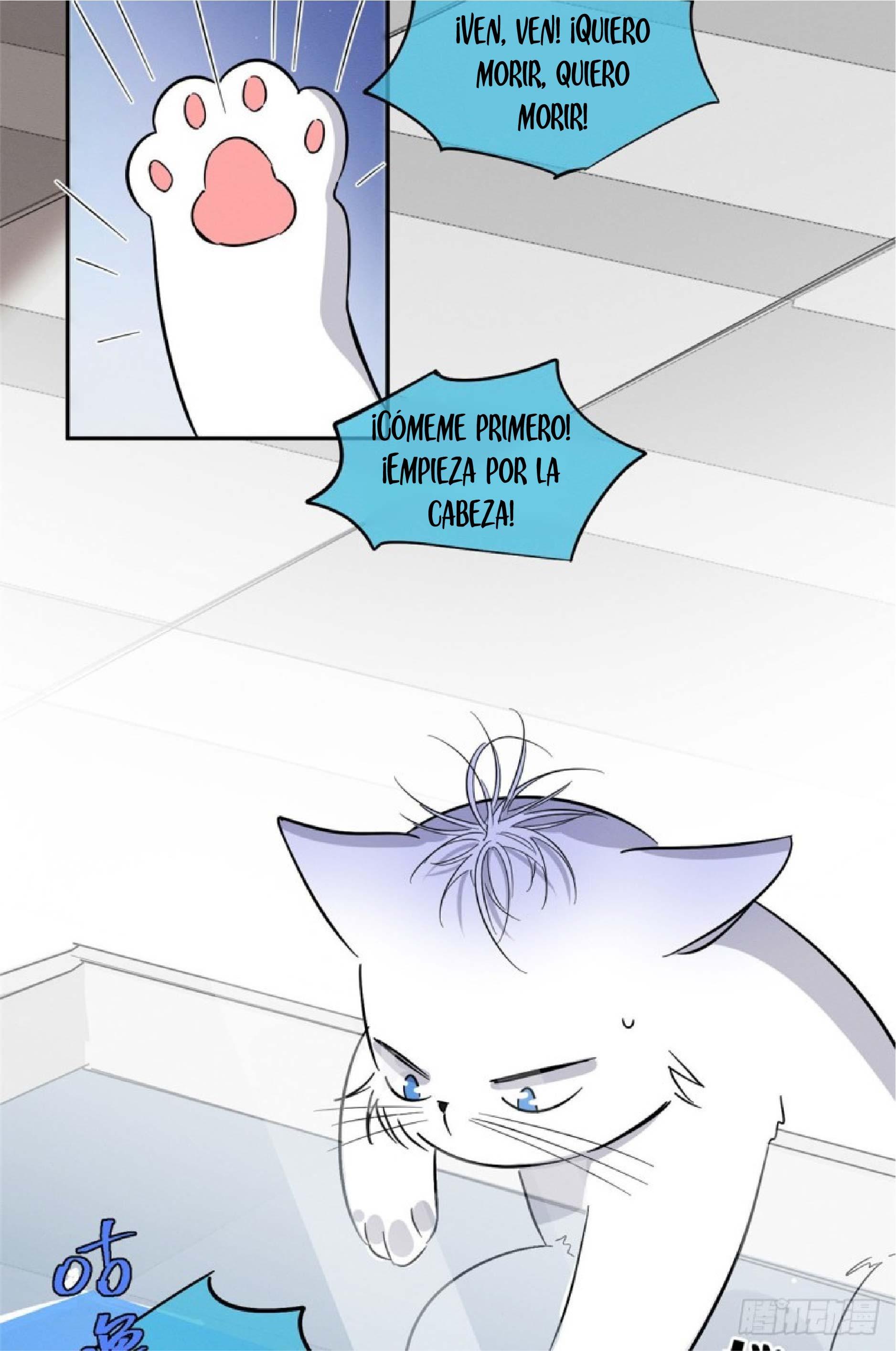 Tengo que trabajar duro para ser un gato hoy! - capitulo 24 manhwa