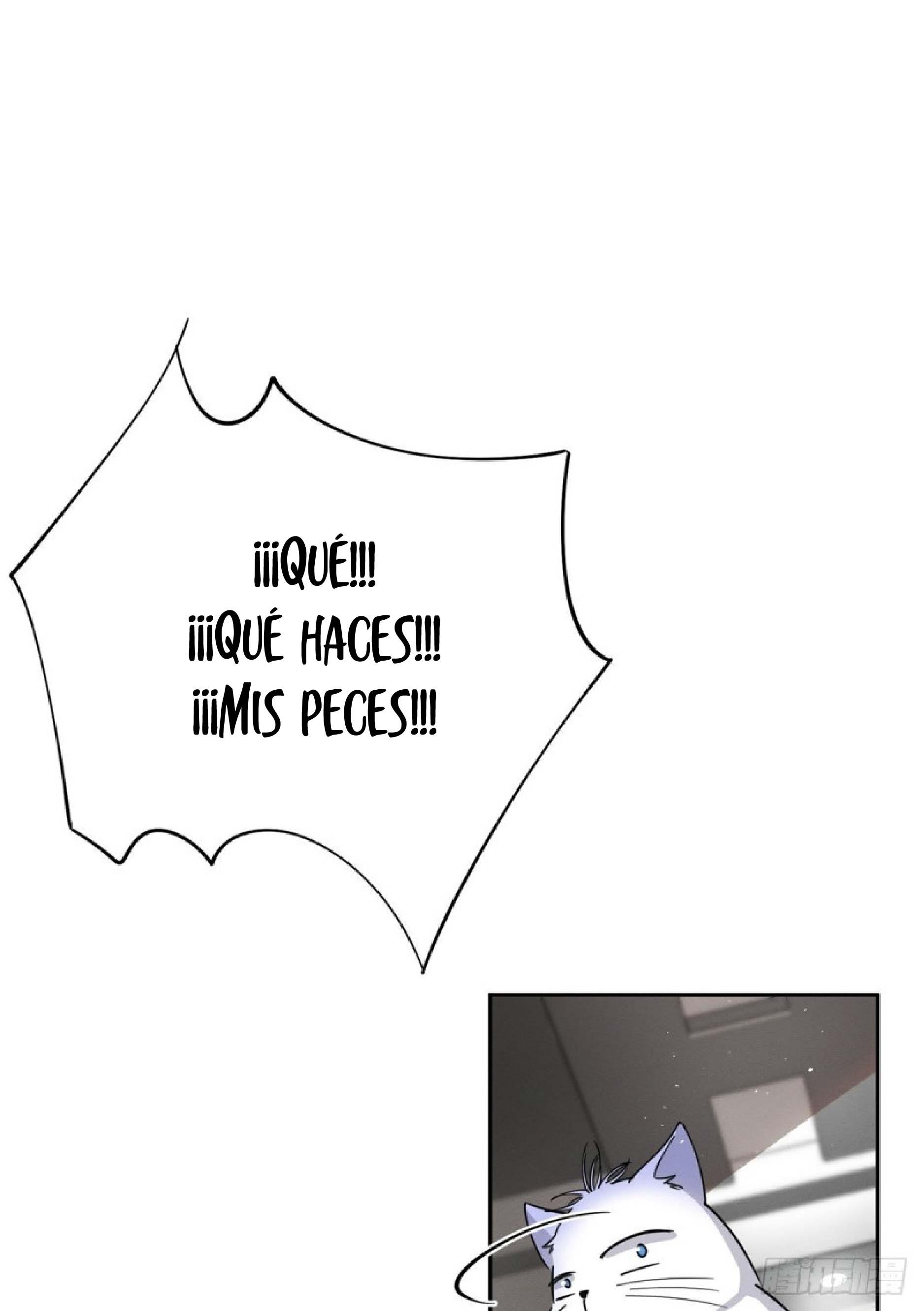 Tengo que trabajar duro para ser un gato hoy! - capitulo 24 manhwa