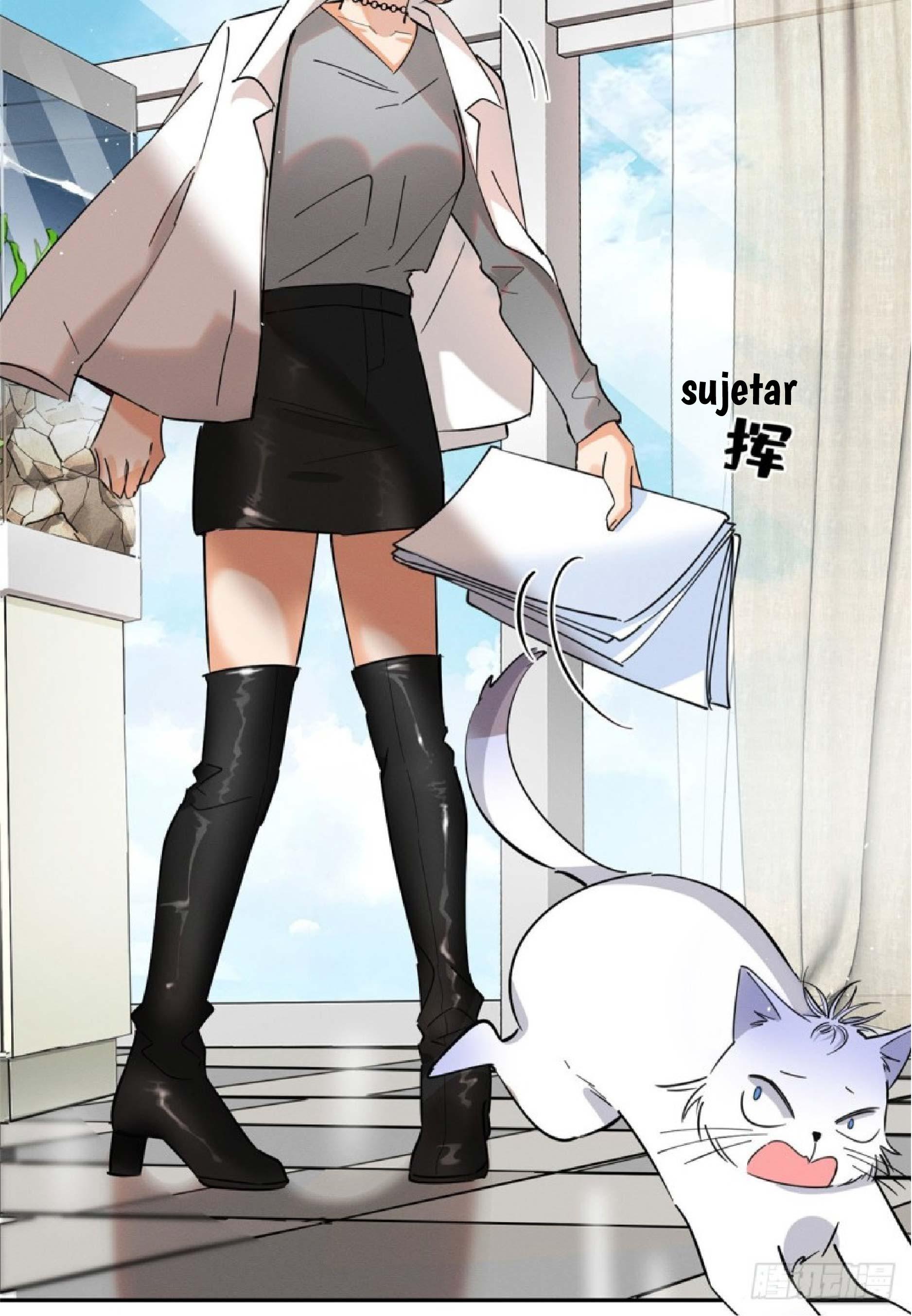 Tengo que trabajar duro para ser un gato hoy! - capitulo 24 manhwa