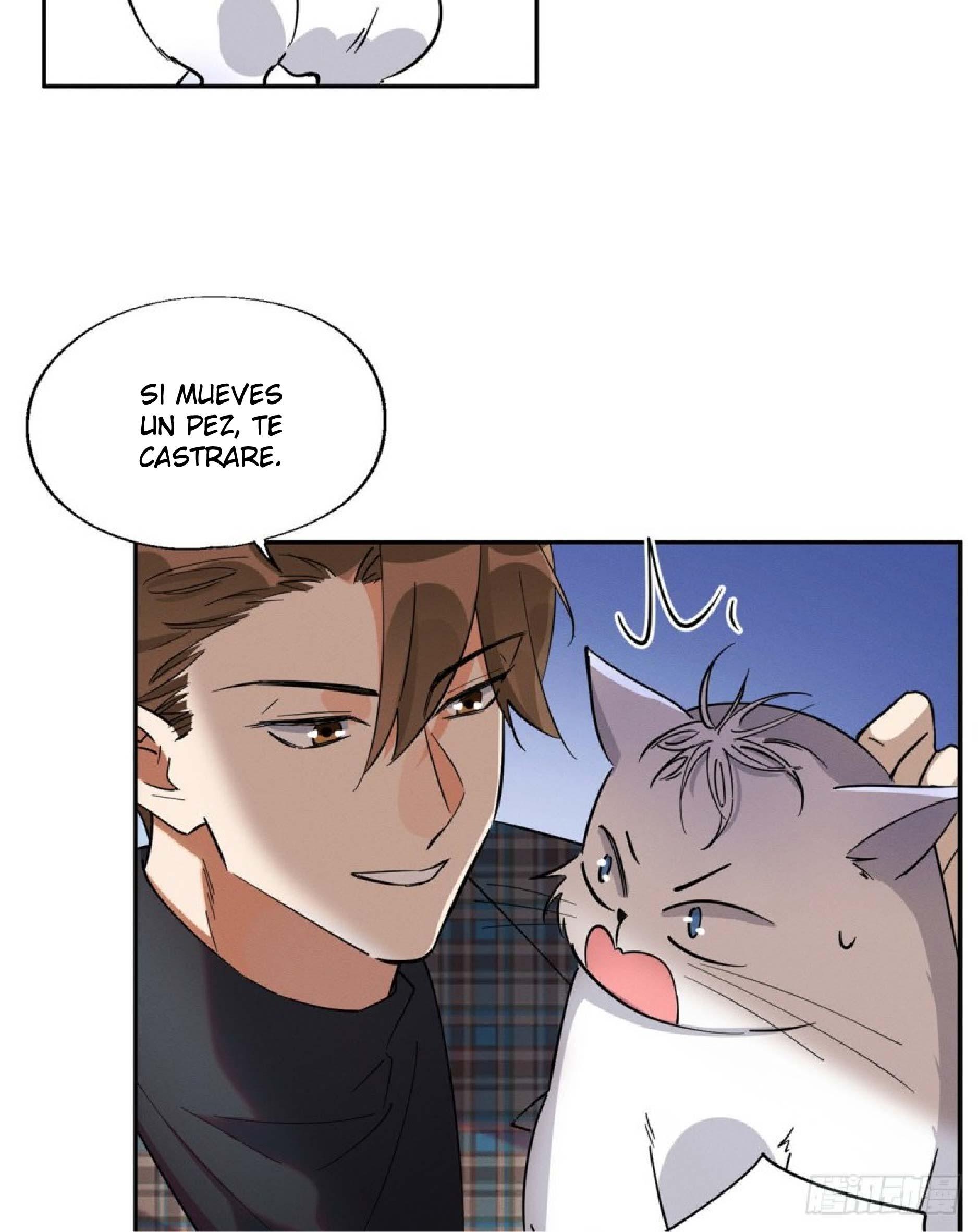 Tengo que trabajar duro para ser un gato hoy! - capitulo 24 manhwa