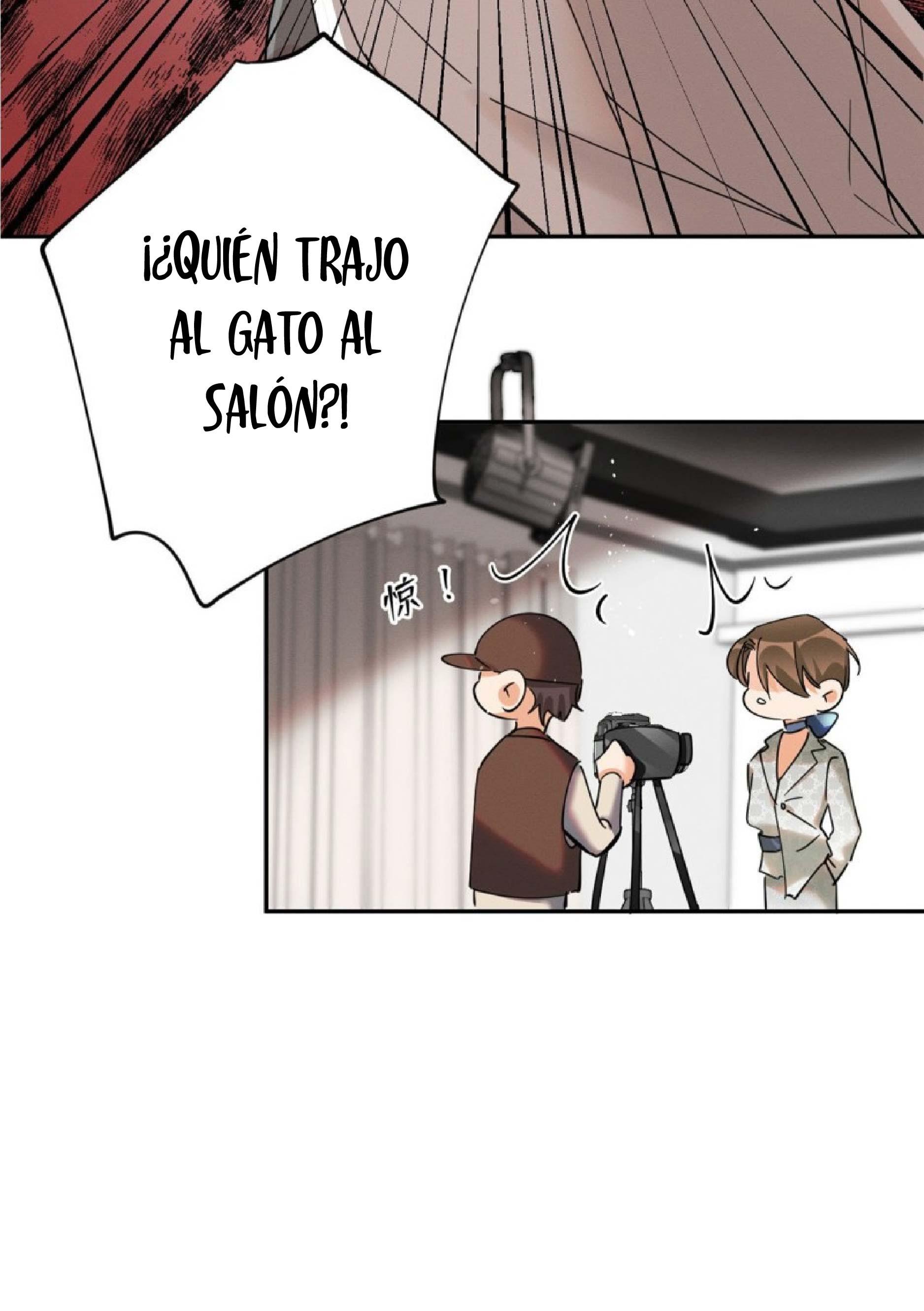 Tengo que trabajar duro para ser un gato hoy! - capitulo 24 manhwa