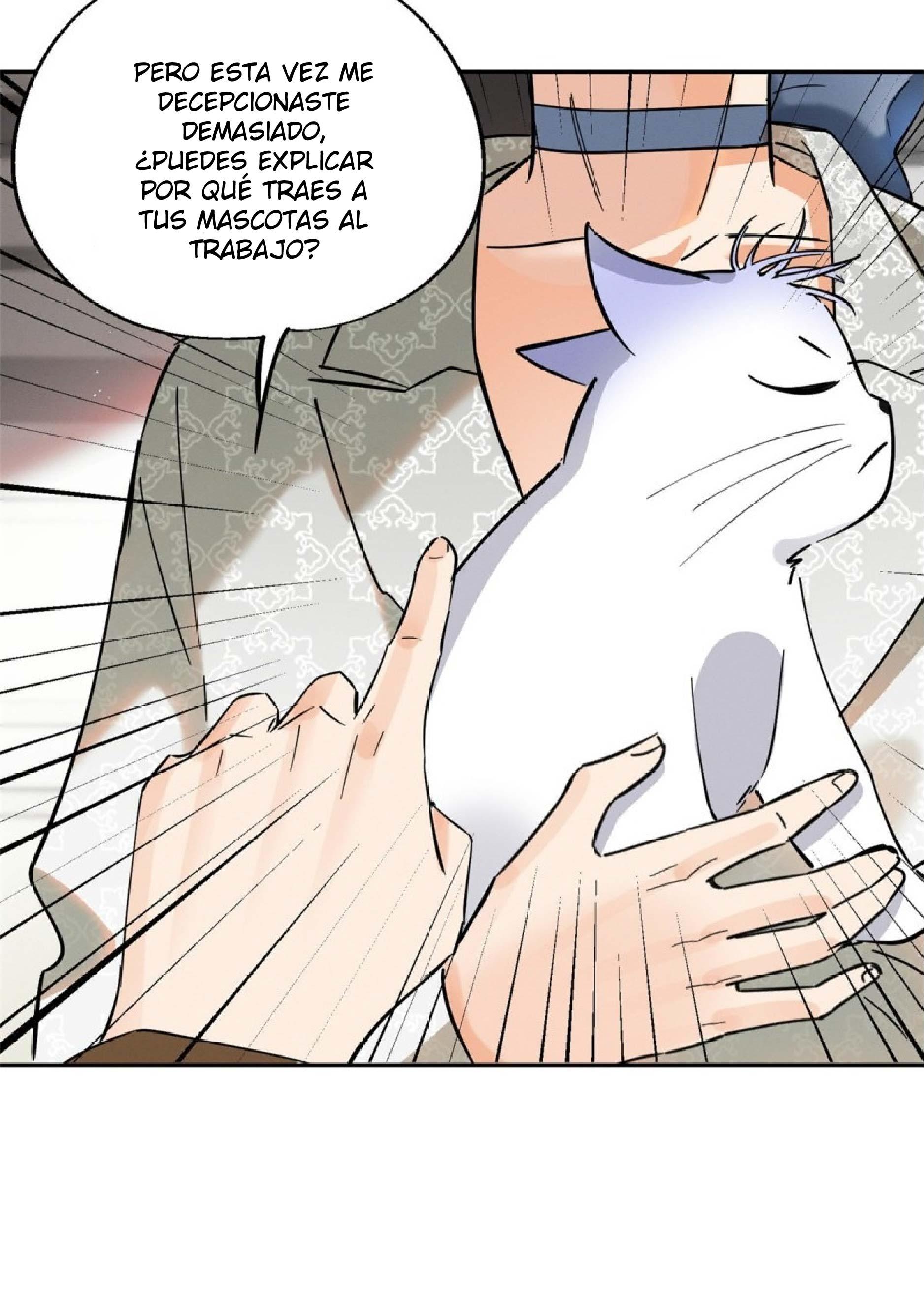 Tengo que trabajar duro para ser un gato hoy! - capitulo 24 manhwa