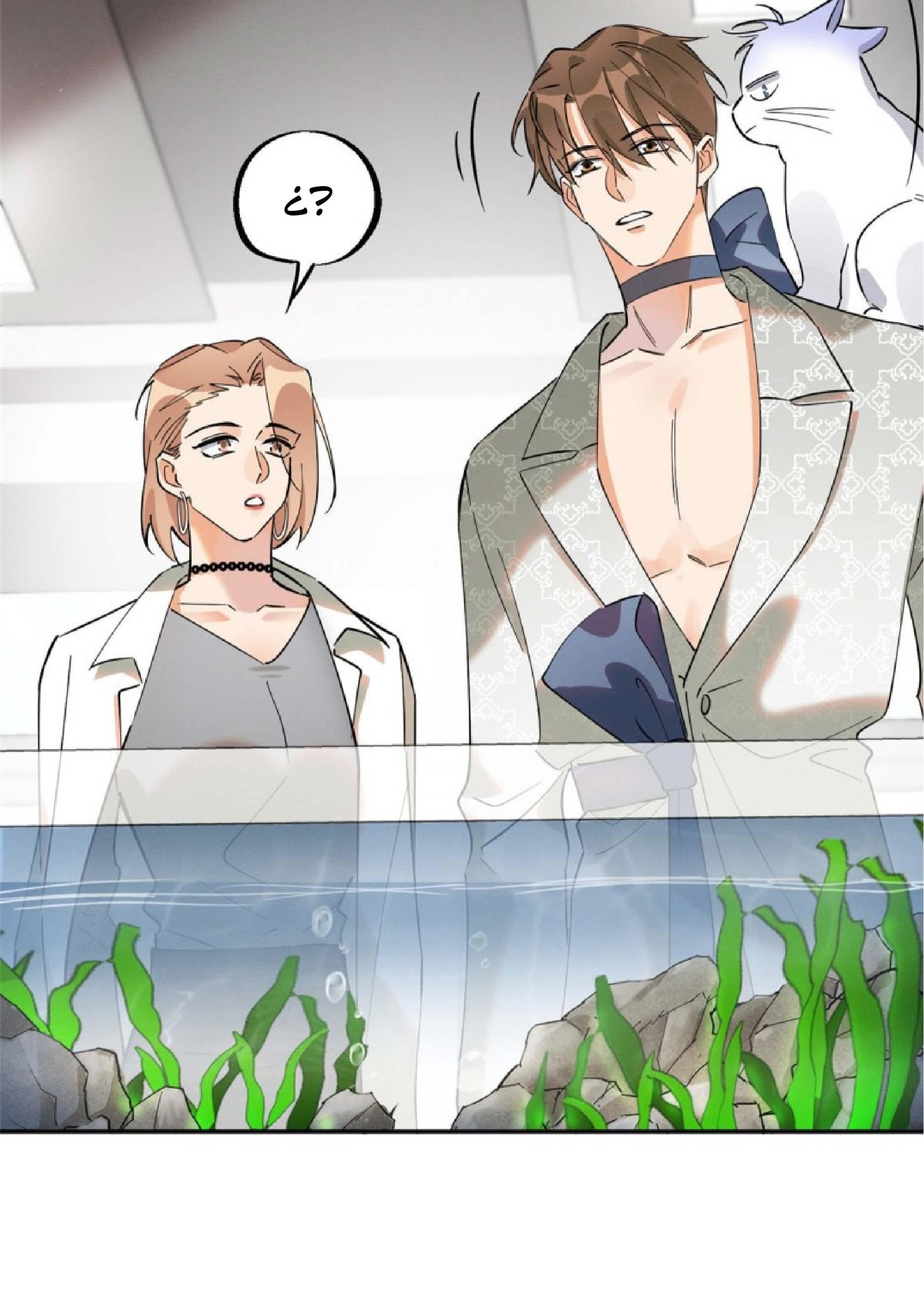 Tengo que trabajar duro para ser un gato hoy! - capitulo 24 manhwa