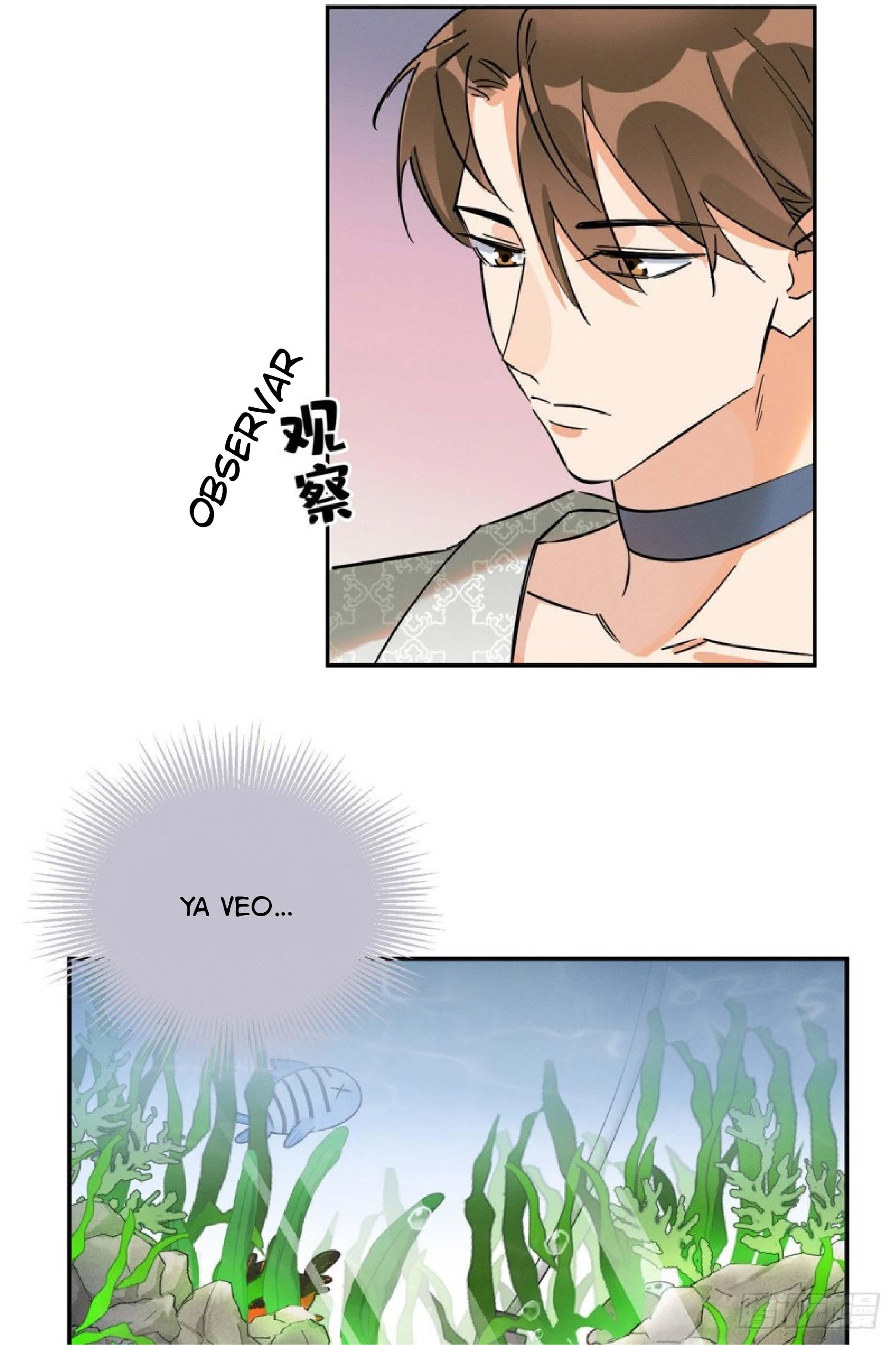 Tengo que trabajar duro para ser un gato hoy! - capitulo 24 manhwa