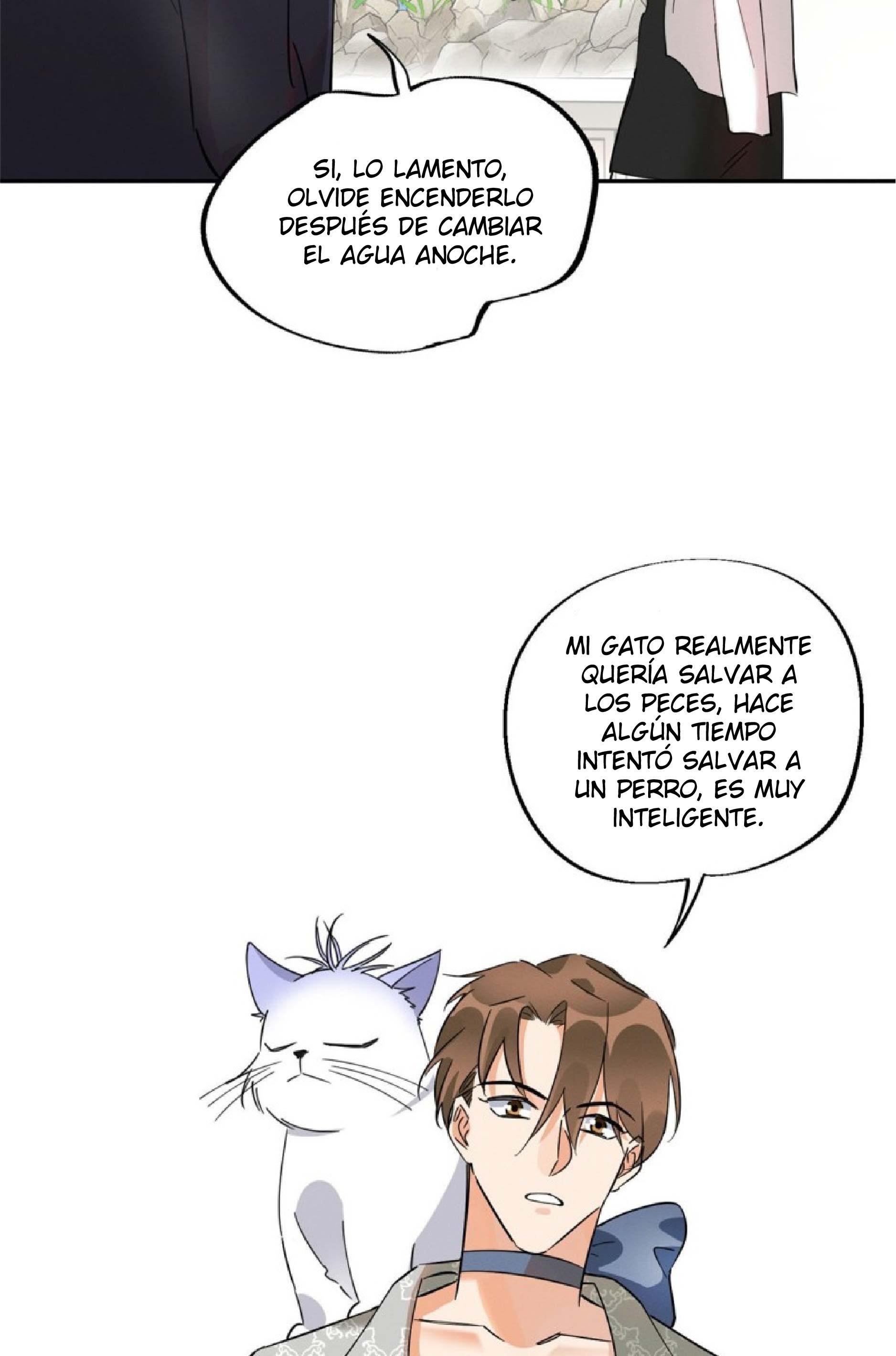 Tengo que trabajar duro para ser un gato hoy! - capitulo 24 manhwa