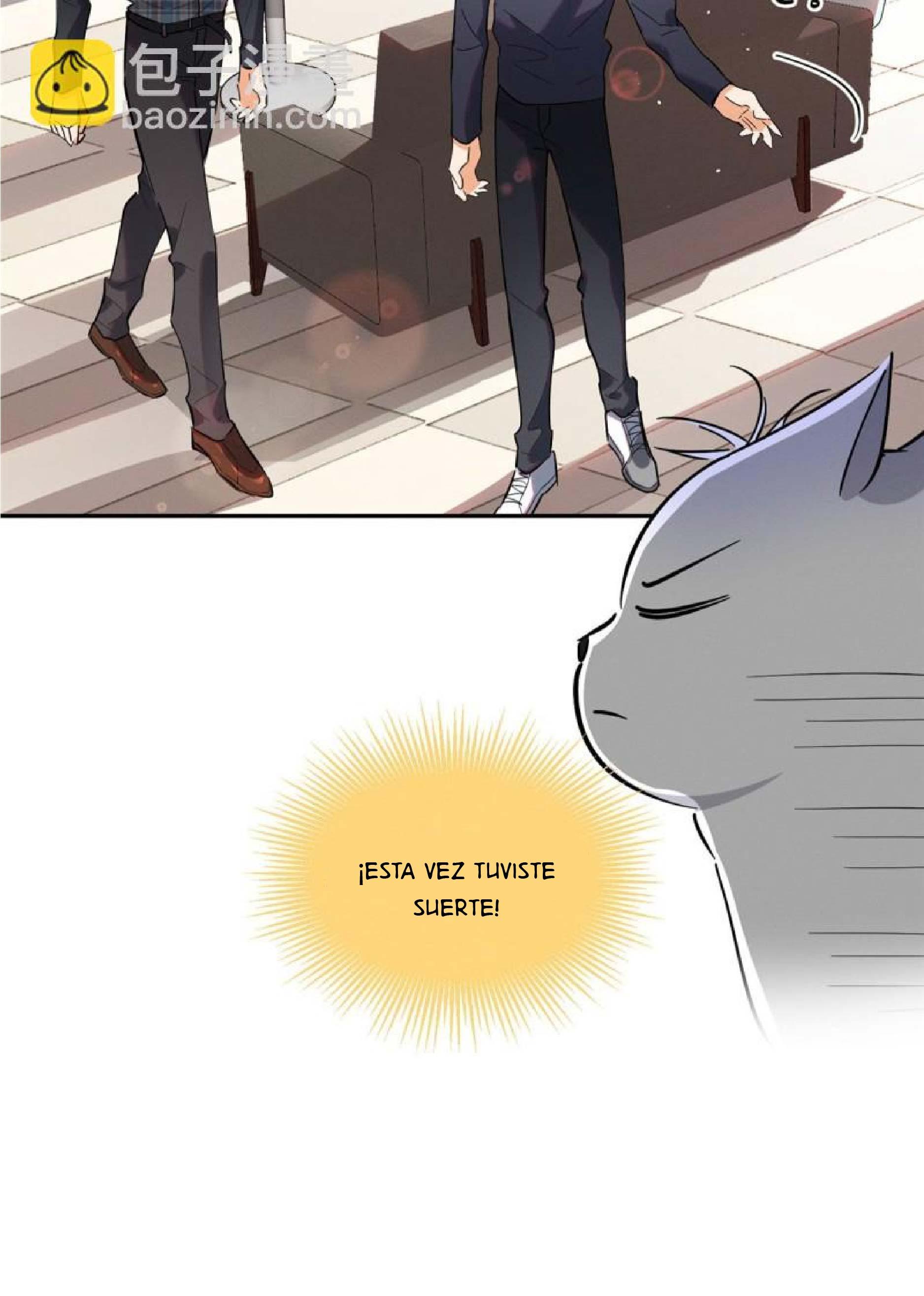 Tengo que trabajar duro para ser un gato hoy! - capitulo 24 manhwa