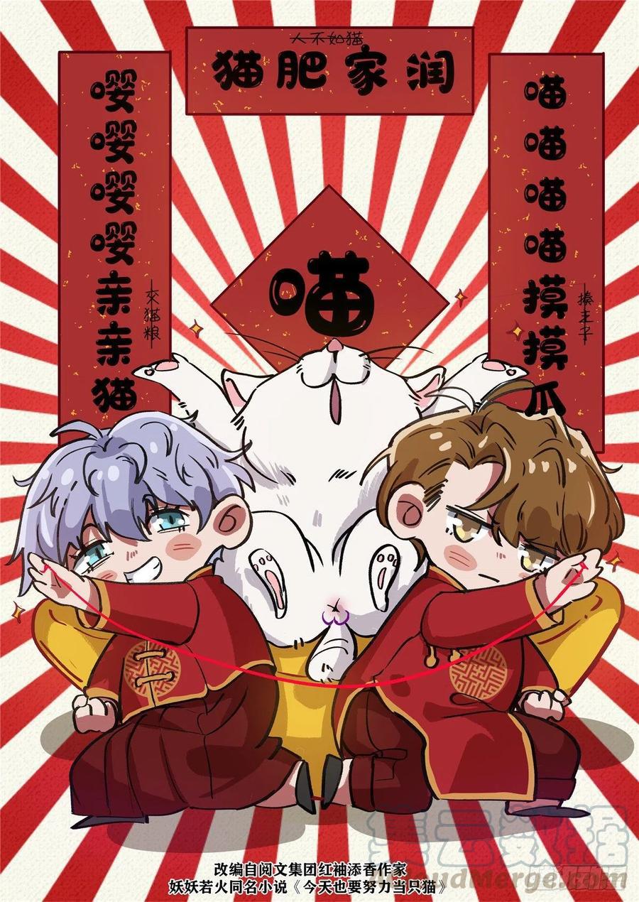 Tengo que trabajar duro para ser un gato hoy! - capitulo 4 manhwa