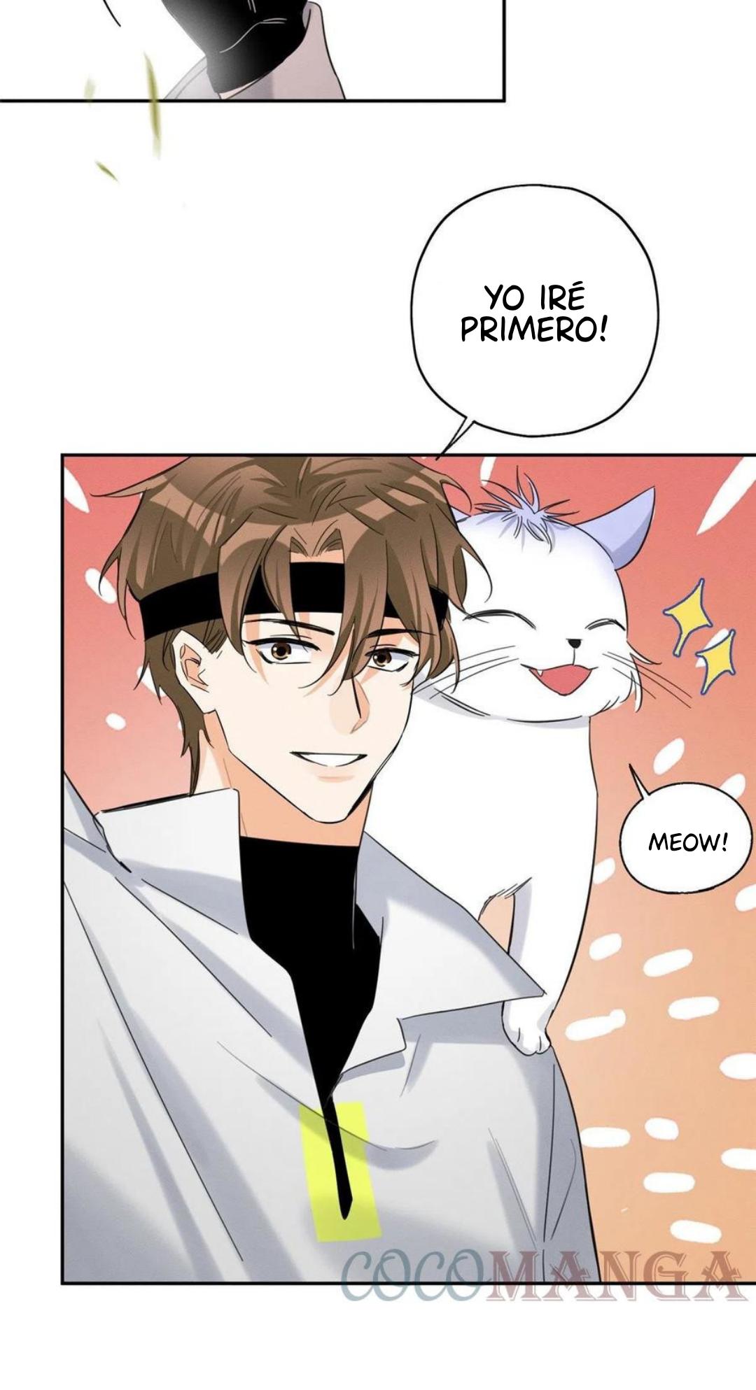 Tengo que trabajar duro para ser un gato hoy! - capitulo 42 manhwa