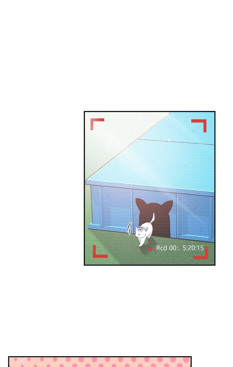 Tengo que trabajar duro para ser un gato hoy! - capitulo 42 manhwa