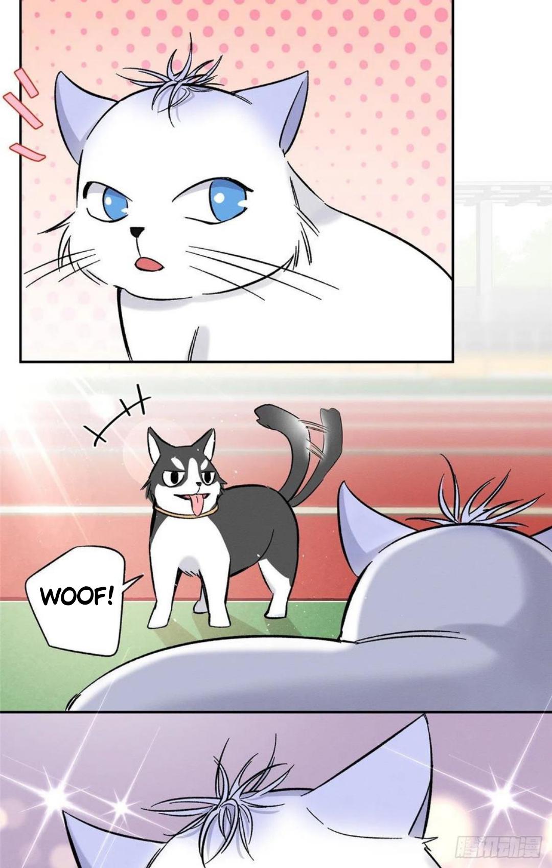 Tengo que trabajar duro para ser un gato hoy! - capitulo 42 manhwa