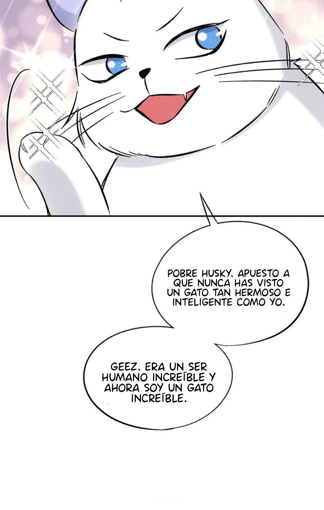 Tengo que trabajar duro para ser un gato hoy! - capitulo 42 manhwa