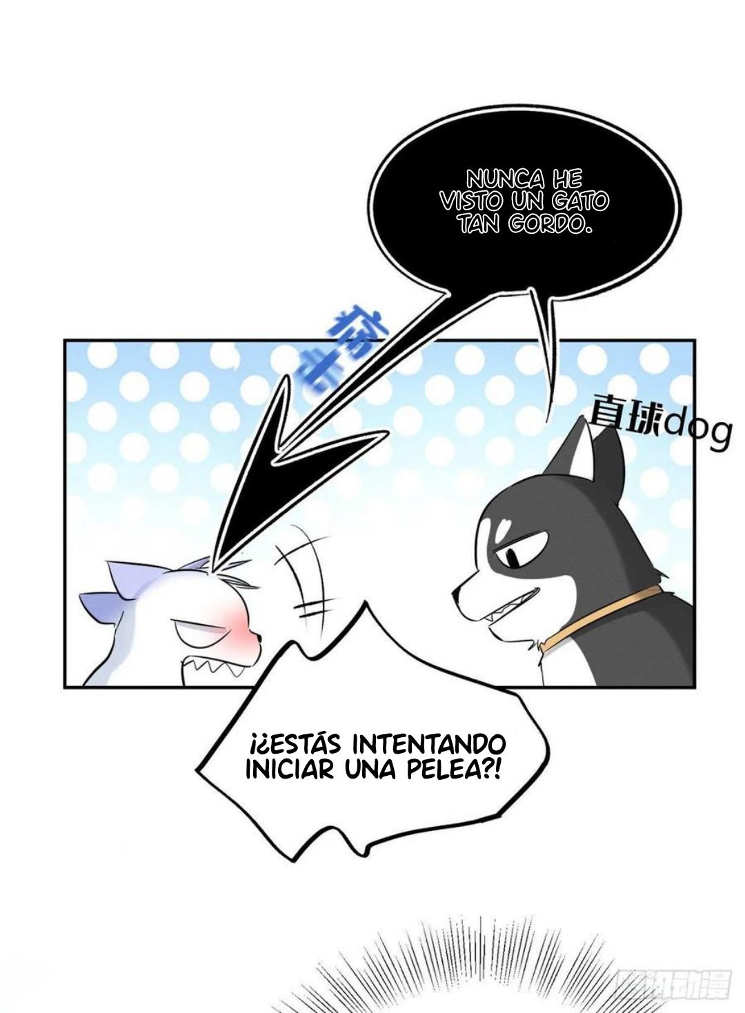 Tengo que trabajar duro para ser un gato hoy! - capitulo 42 manhwa