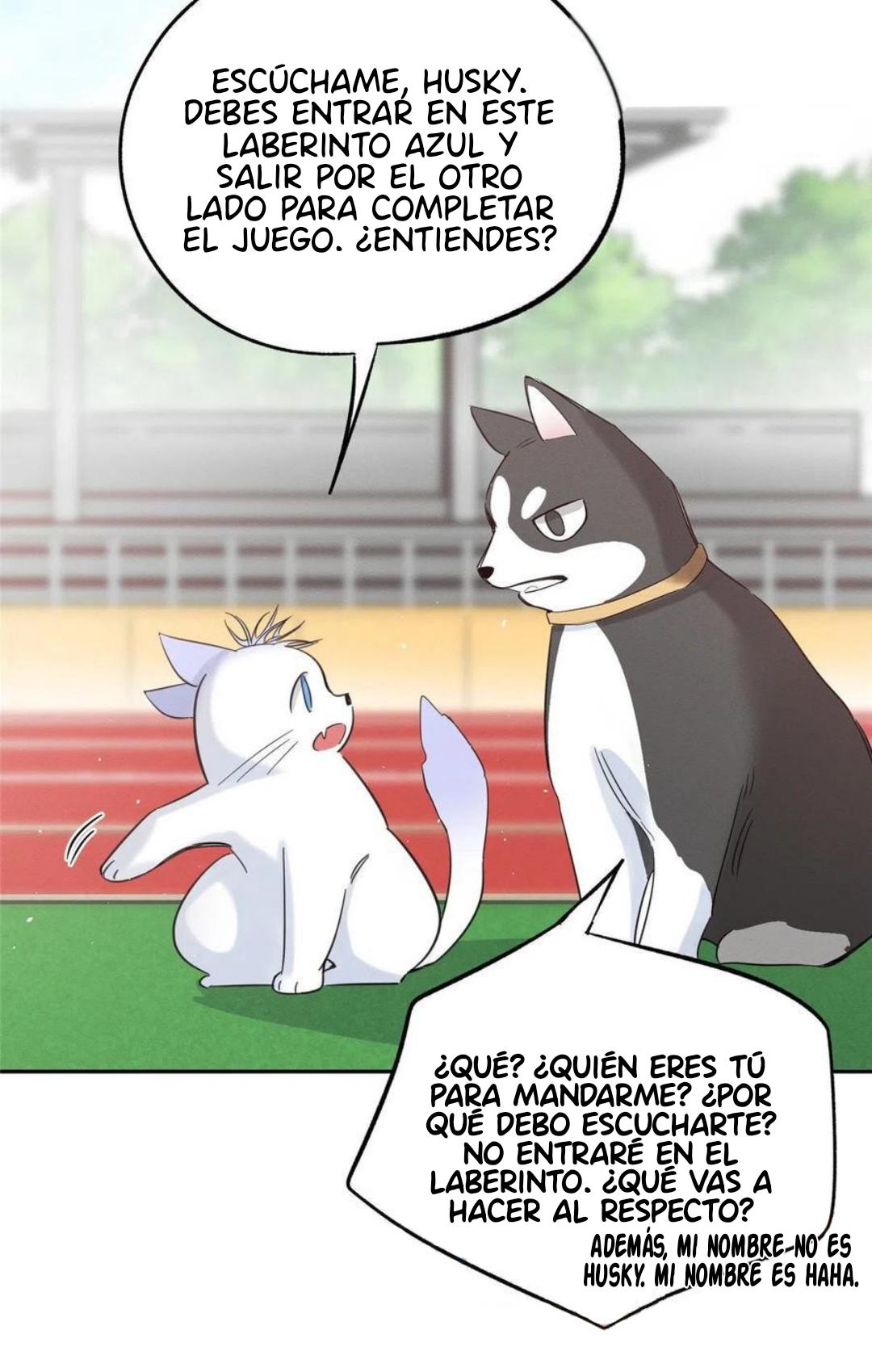 Tengo que trabajar duro para ser un gato hoy! - capitulo 42 manhwa