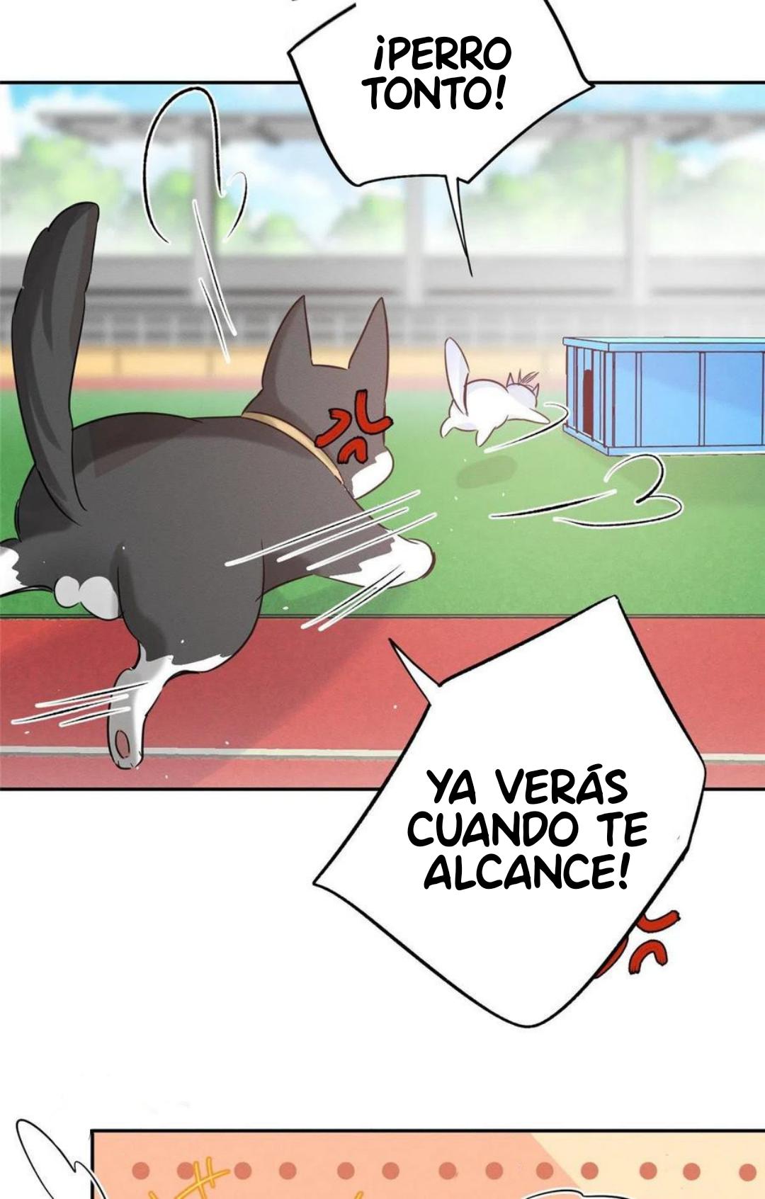 Tengo que trabajar duro para ser un gato hoy! - capitulo 42 manhwa