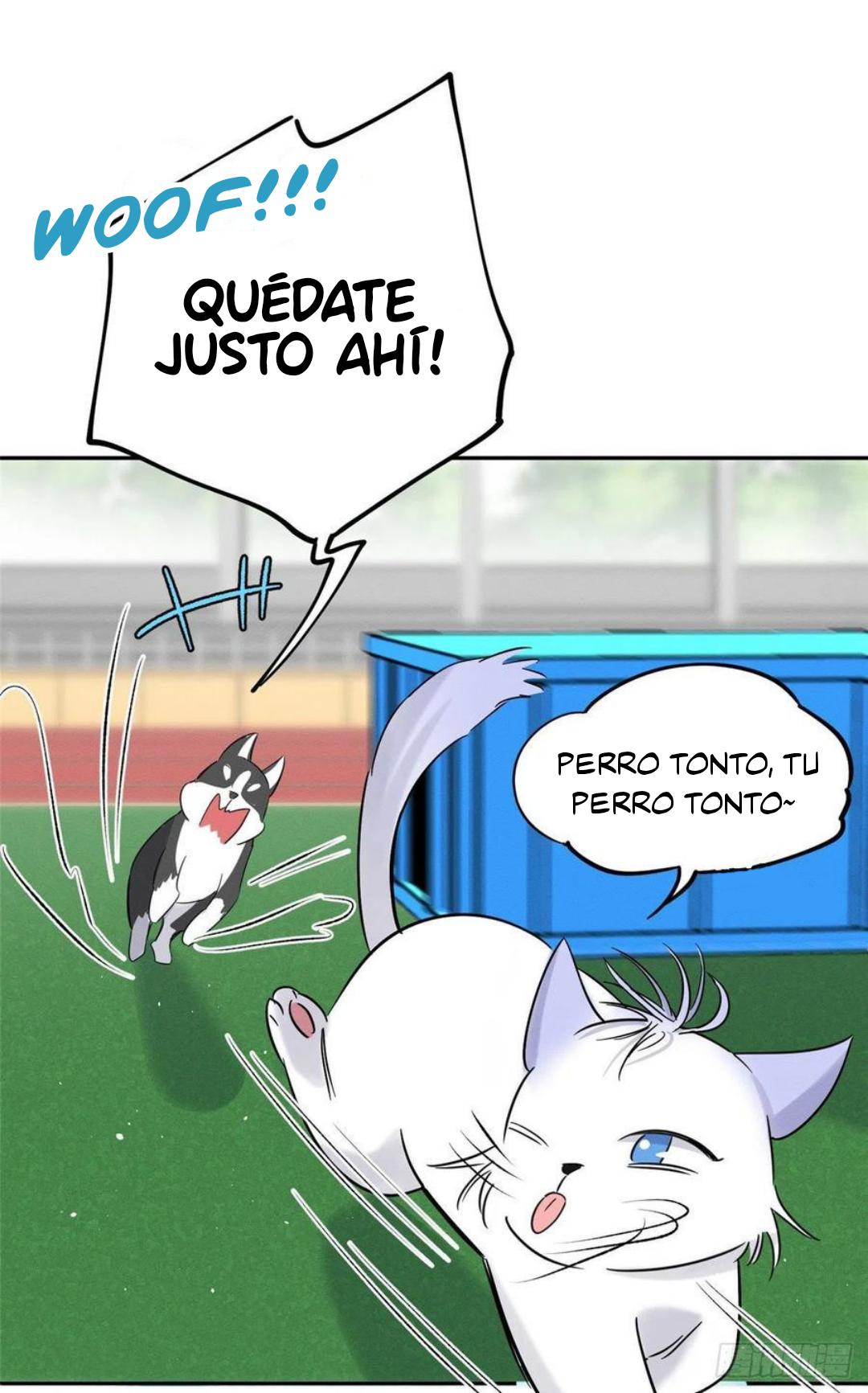 Tengo que trabajar duro para ser un gato hoy! - capitulo 42 manhwa