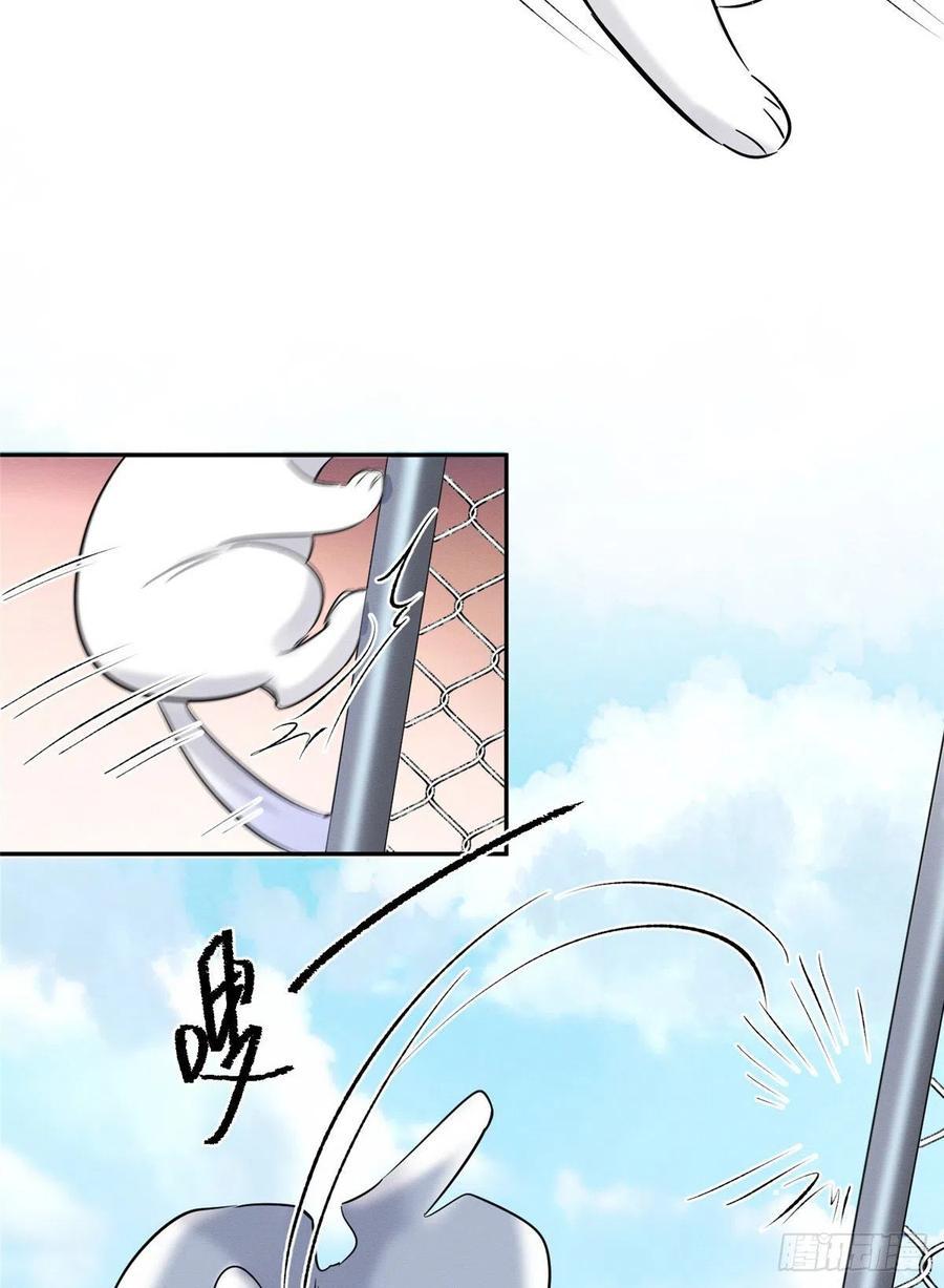 Tengo que trabajar duro para ser un gato hoy! - capitulo 42 manhwa
