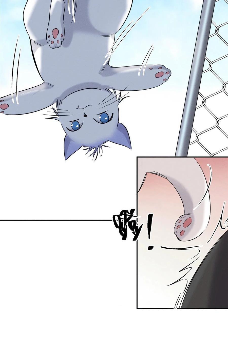 Tengo que trabajar duro para ser un gato hoy! - capitulo 42 manhwa