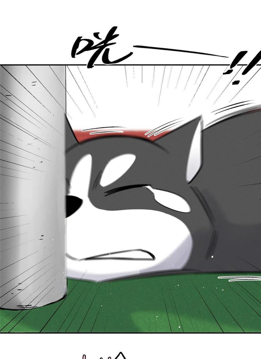 Tengo que trabajar duro para ser un gato hoy! - capitulo 42 manhwa