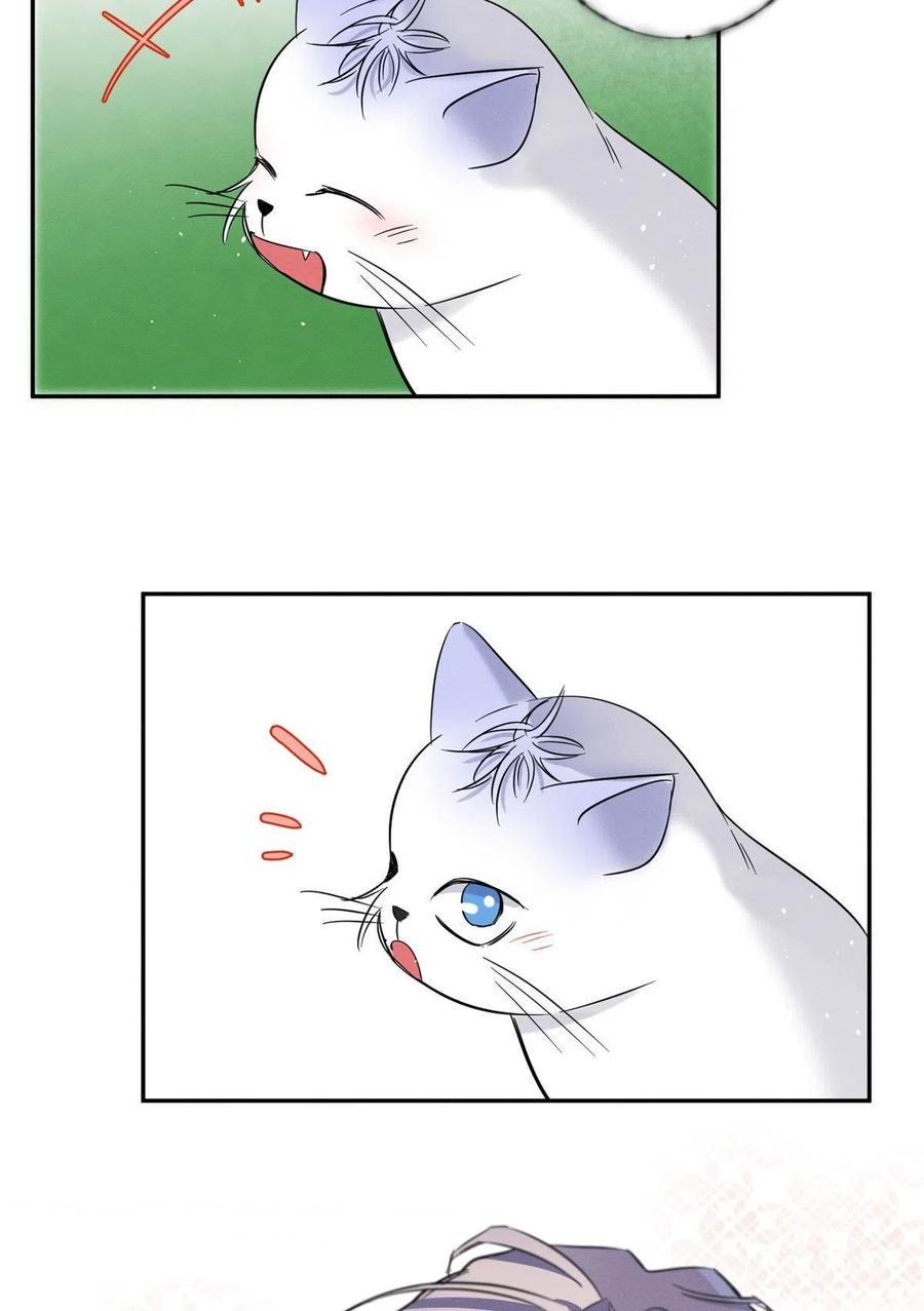 Tengo que trabajar duro para ser un gato hoy! - capitulo 42 manhwa